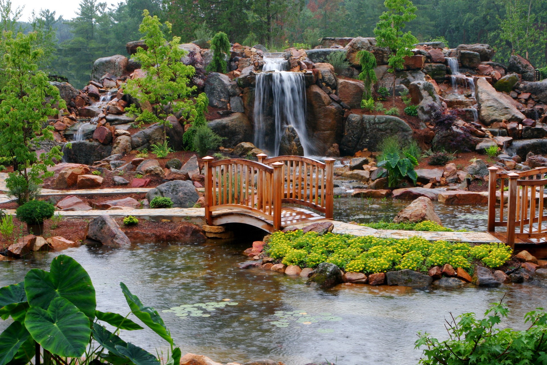 Waterfalls and a wooden bridge in a garden HD Wallpaper
