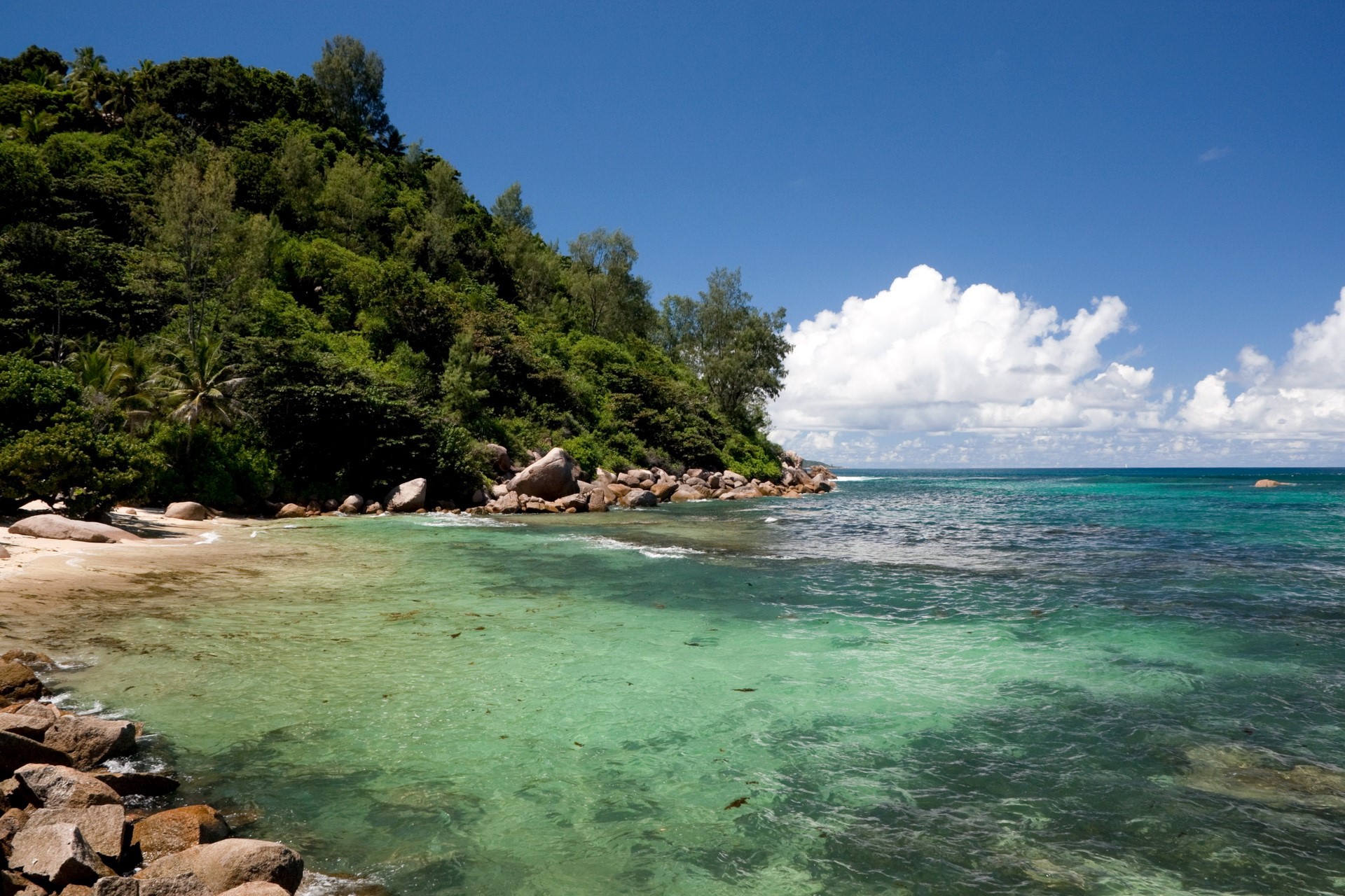 Tropical beach with clear turquoise water and lush green hillside HD Wallpaper