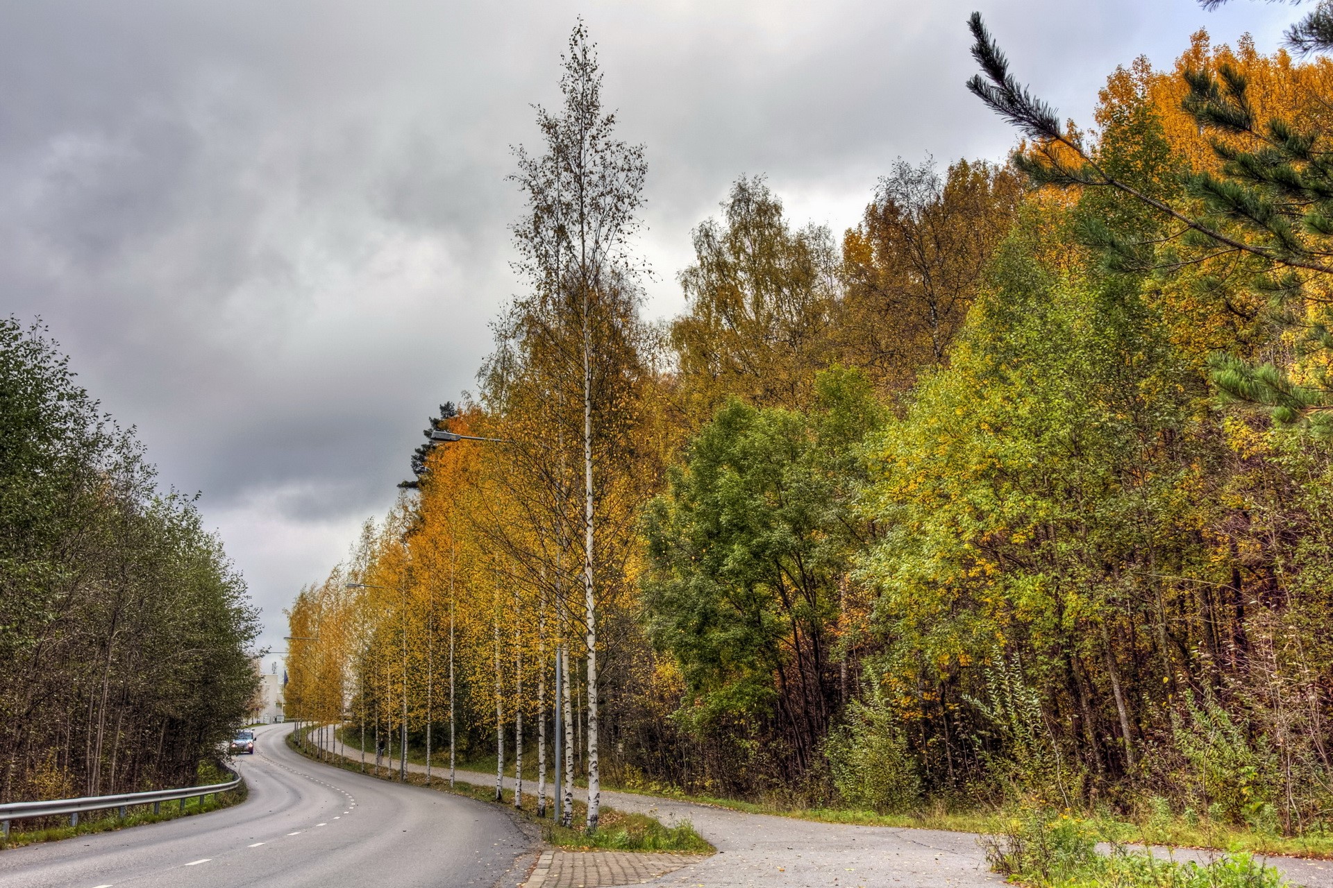 Road curving through autumn forest HD Wallpaper