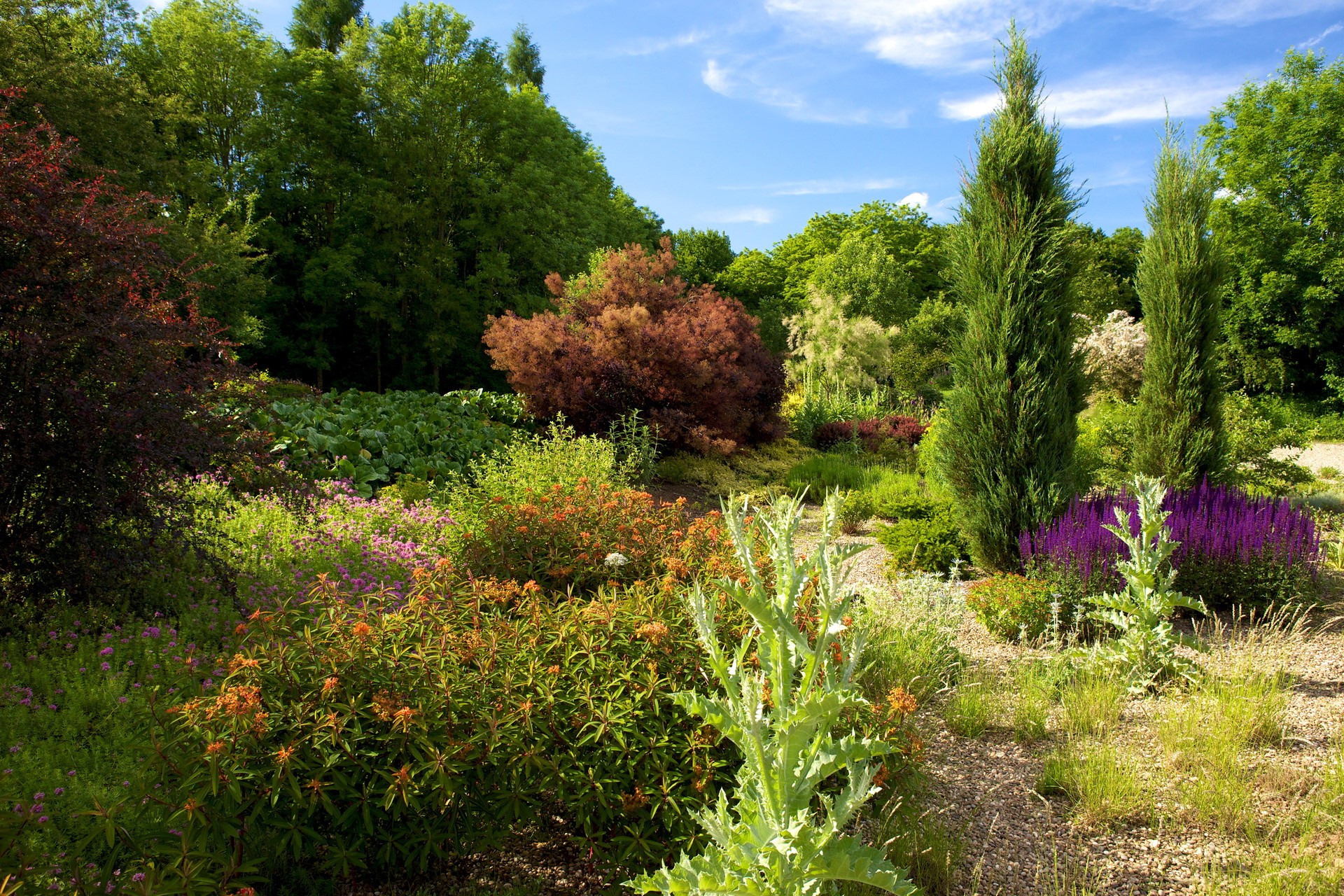 A vibrant garden with diverse plants and trees HD Wallpaper