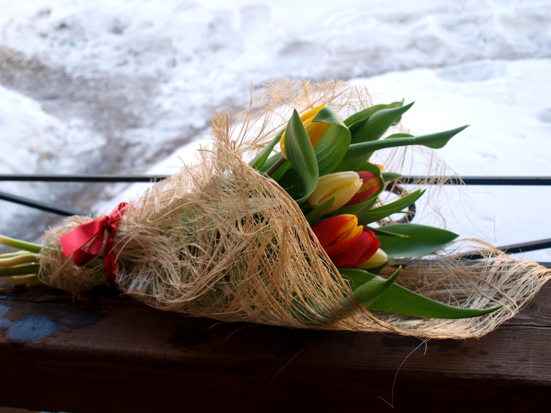 Bouquet of red and yellow tulips with a red ribbon HD Wallpaper
