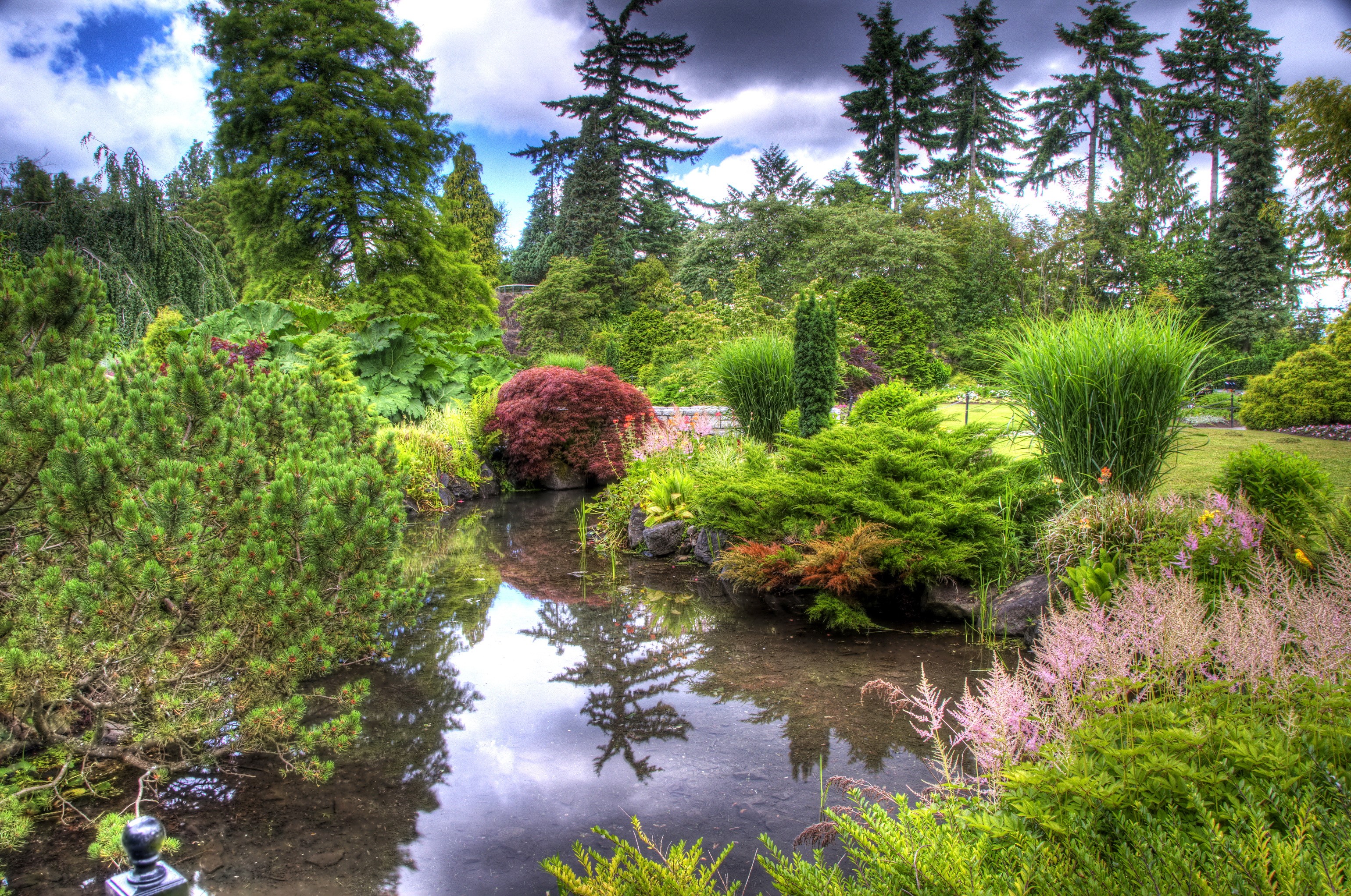 A tranquil garden pond surrounded by lush greenery and trees HD Wallpaper