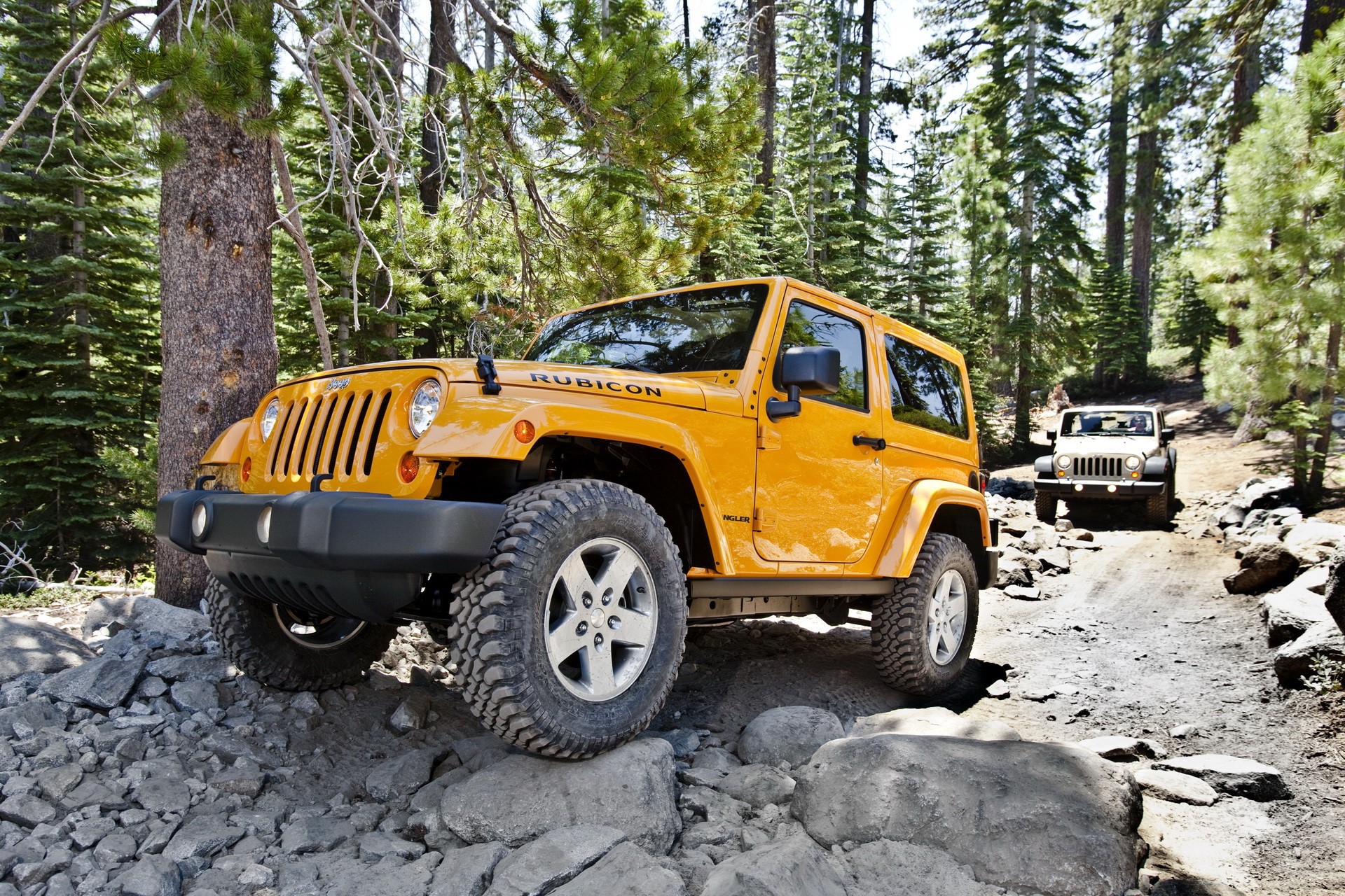 Two yellow Jeep Rubicon SUVs driving on a rocky forest trail HD Wallpaper