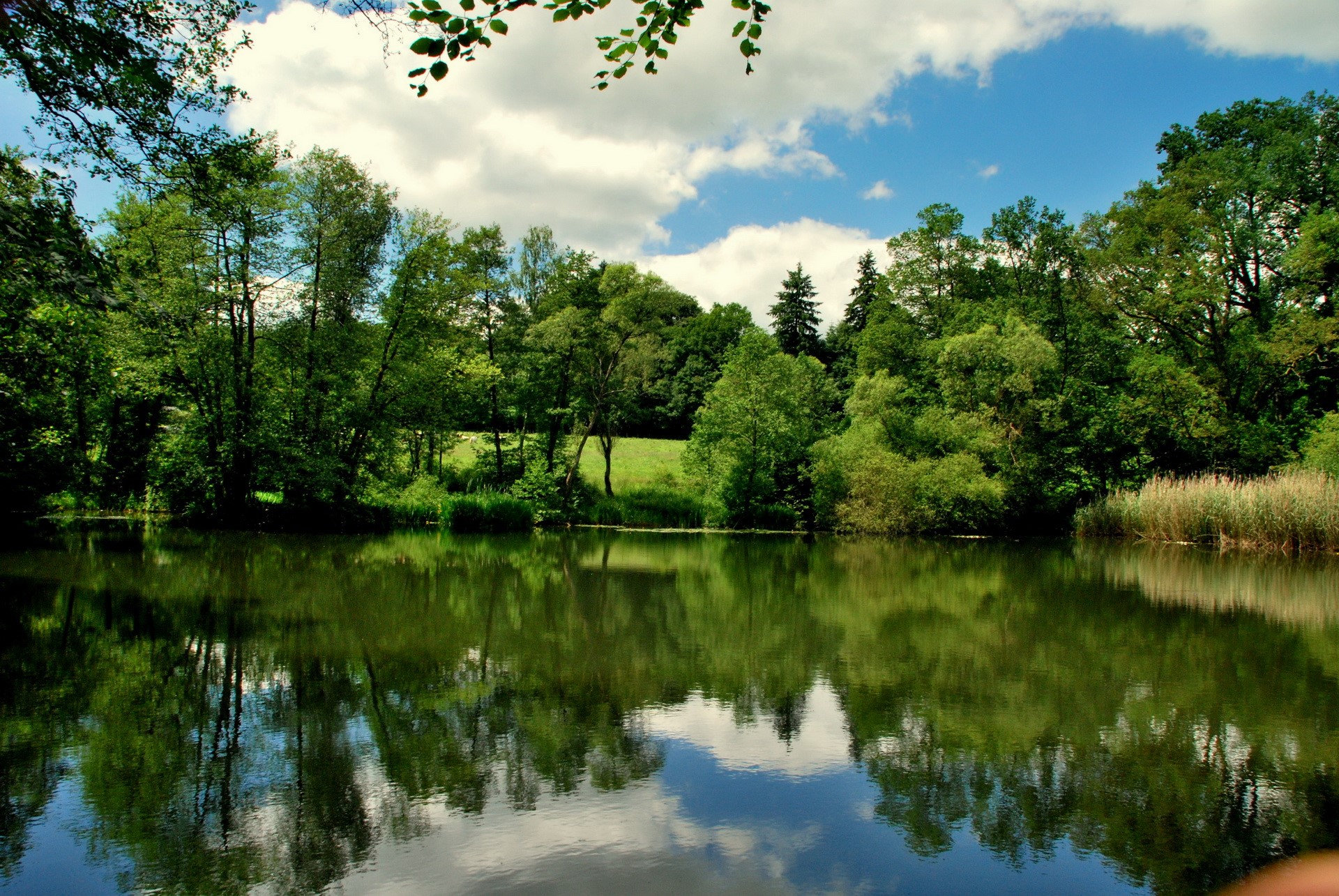 Lake Bierleux, Belgium with Trees and Sky Reflection HD Wallpaper