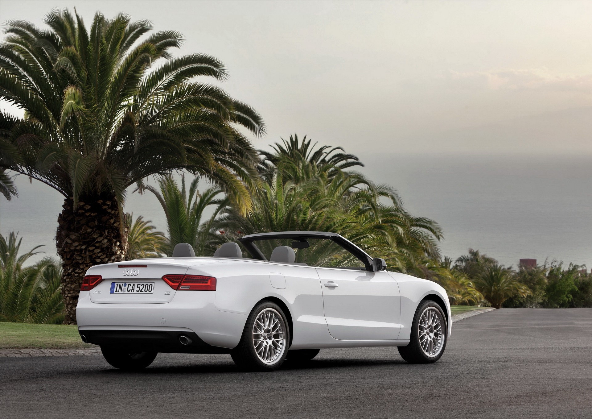 White Audi A5 Convertible parked near palm trees HD Wallpaper