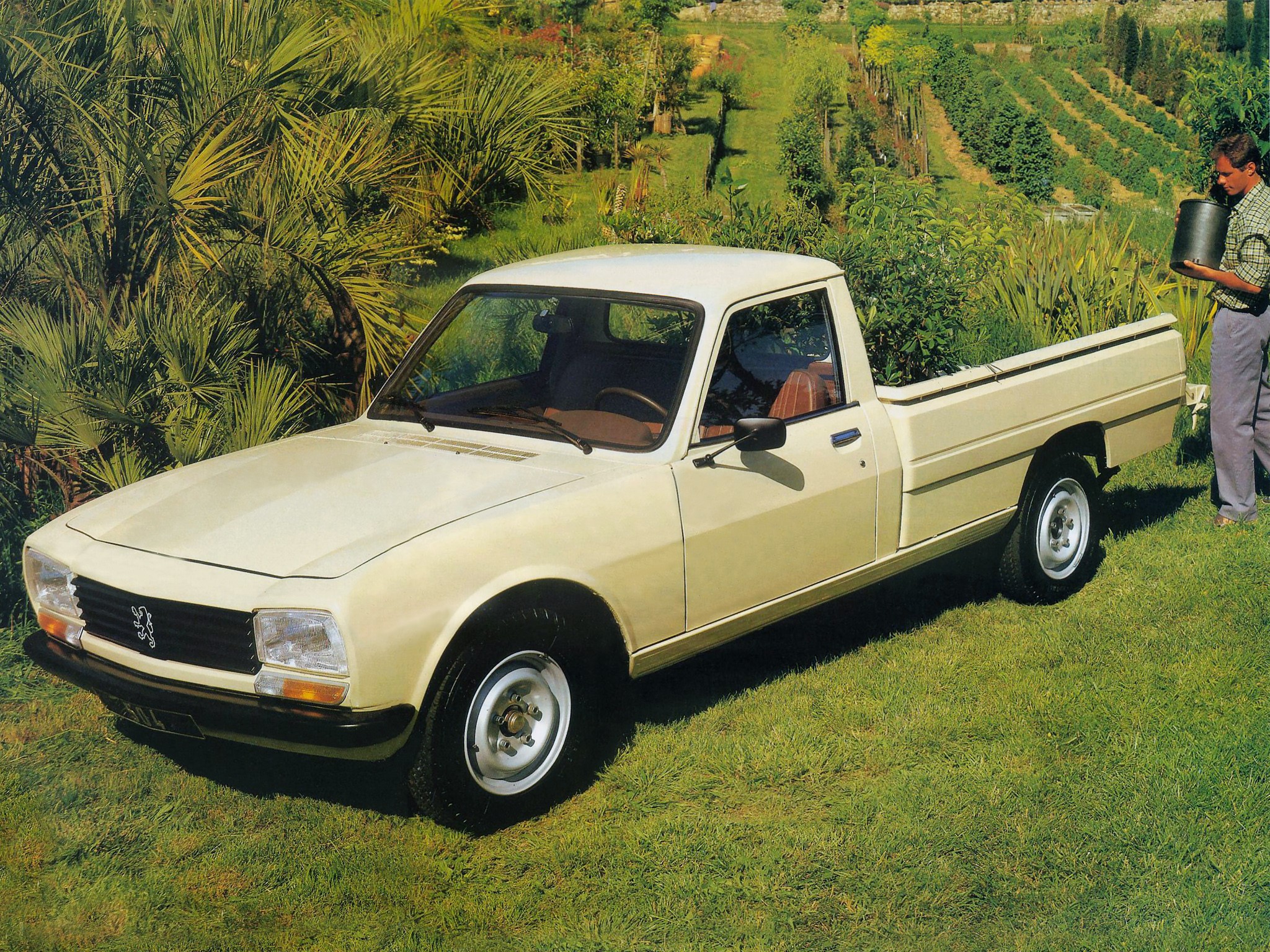 Peugeot 504 pickup truck in a garden HD Wallpaper
