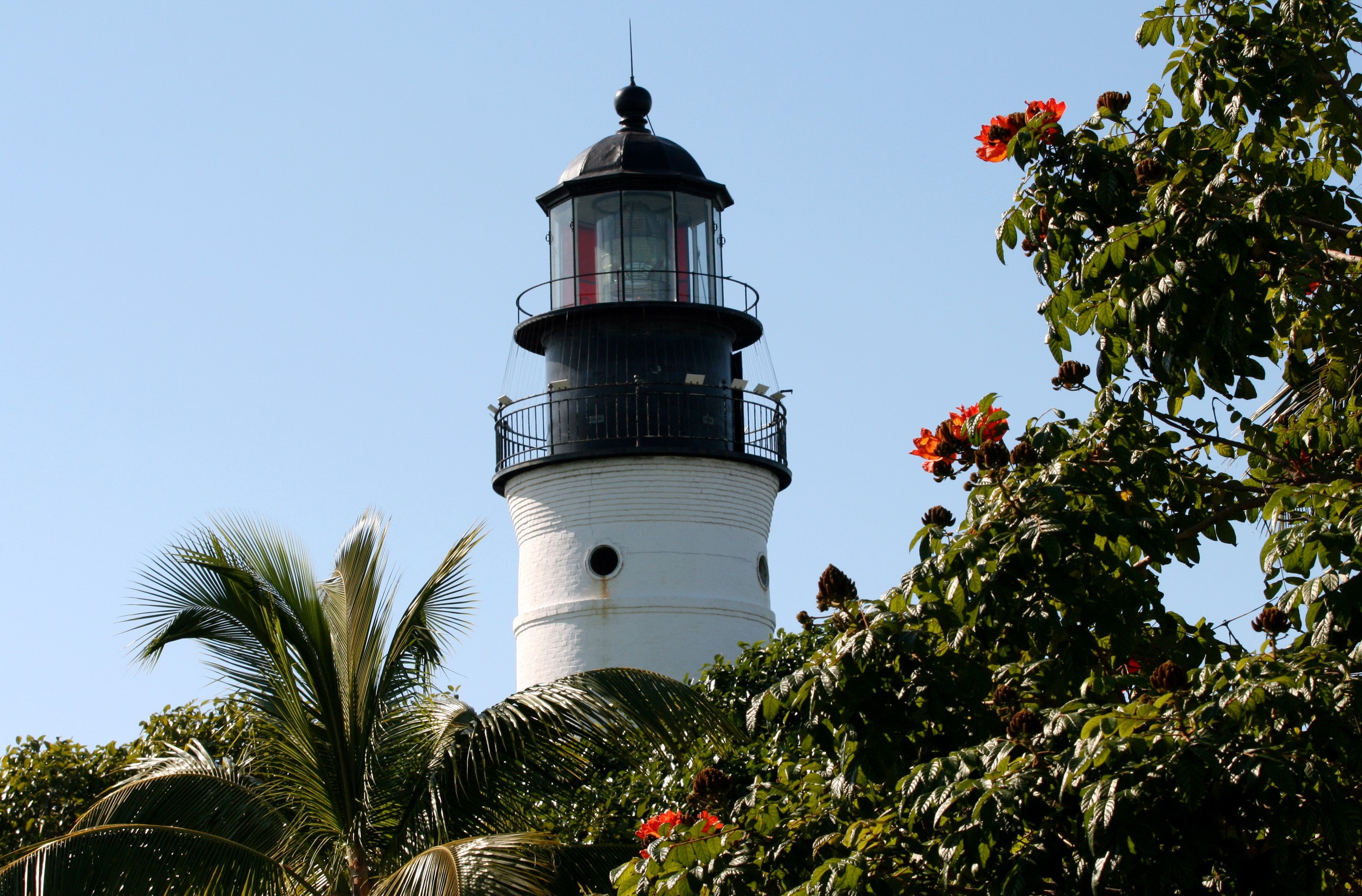 White lighthouse with black top surrounded by trees and palm fronds HD Wallpaper