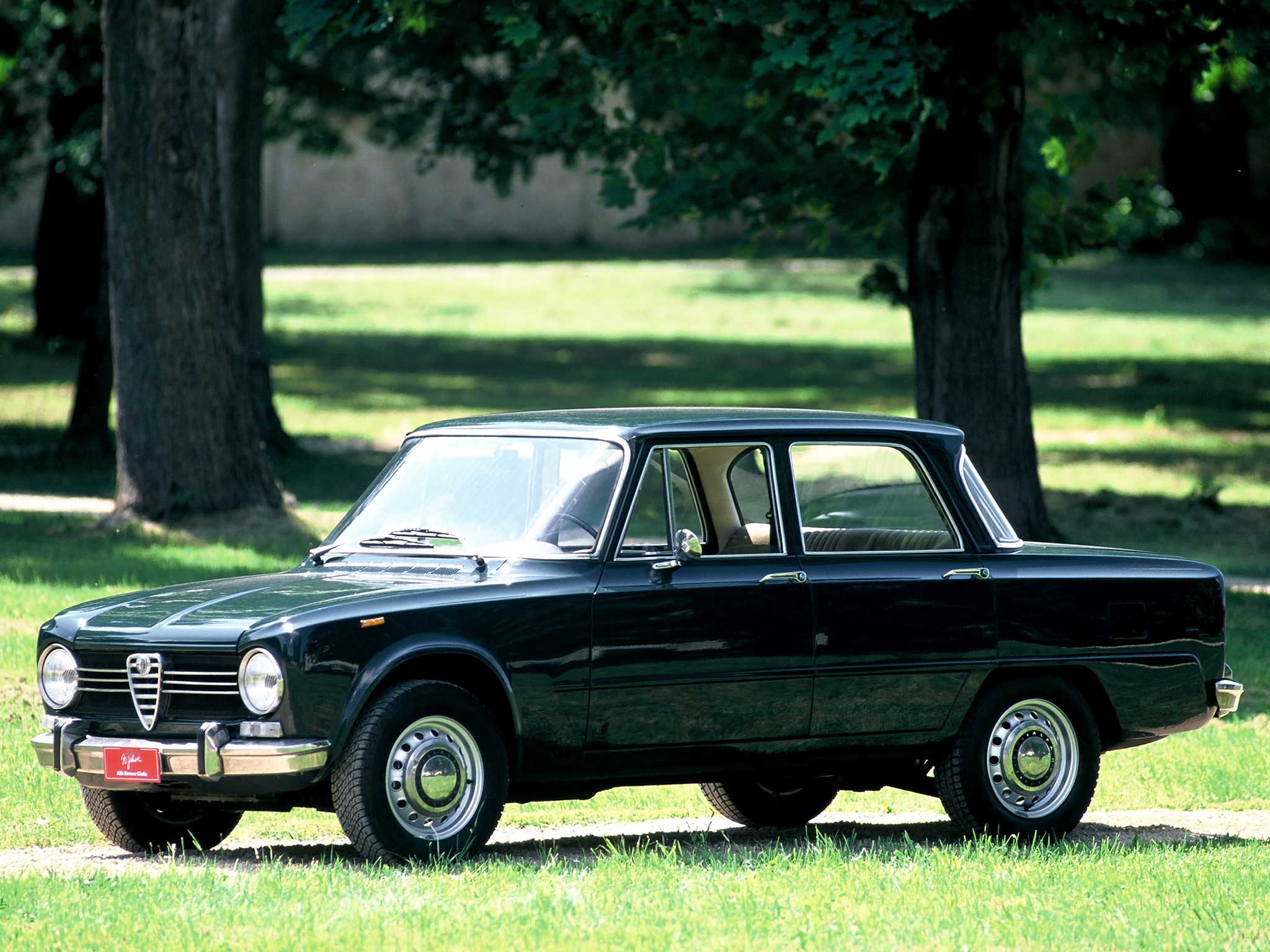 Dark Green Alfa Romeo Sedan Parked on Grass HD Wallpaper