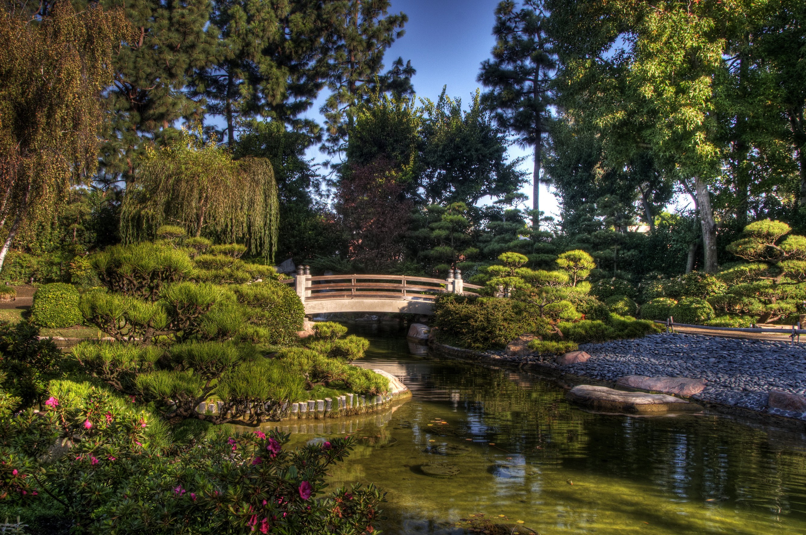 Earl Burns Miller Japanese Garden Pond with Bridge HD Wallpaper