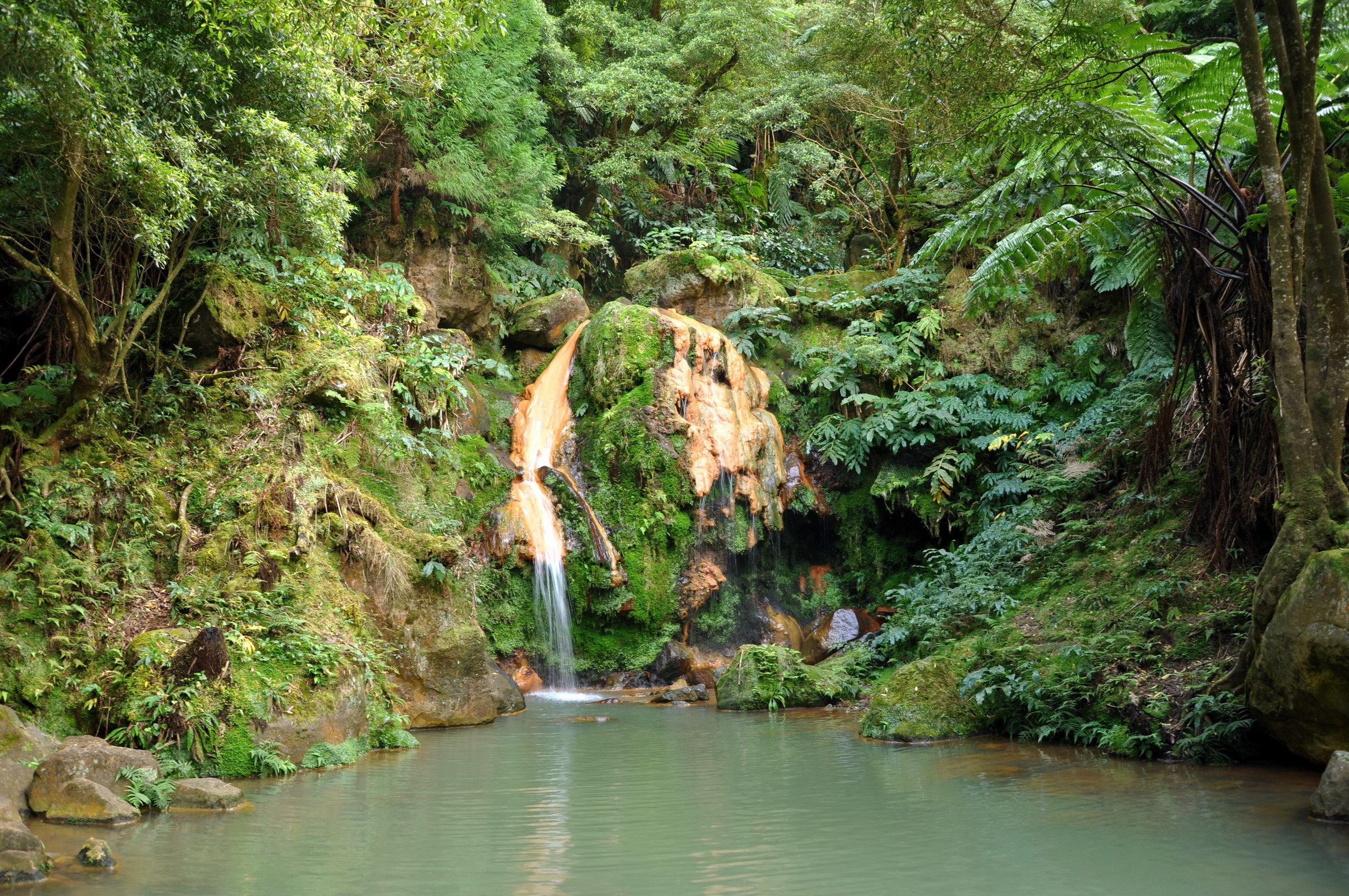 Waterfall in a lush green forest HD Wallpaper