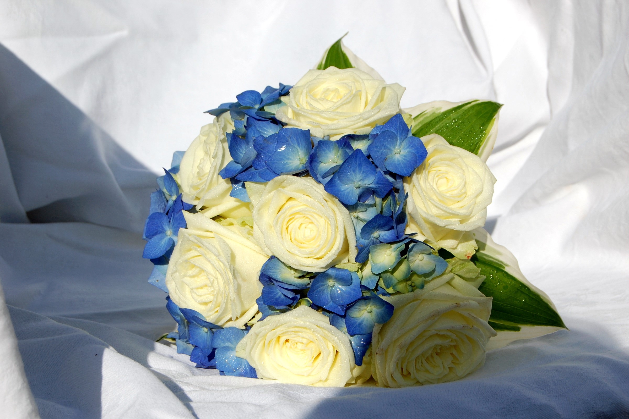 Bouquet of white roses and blue hydrangeas HD Wallpaper