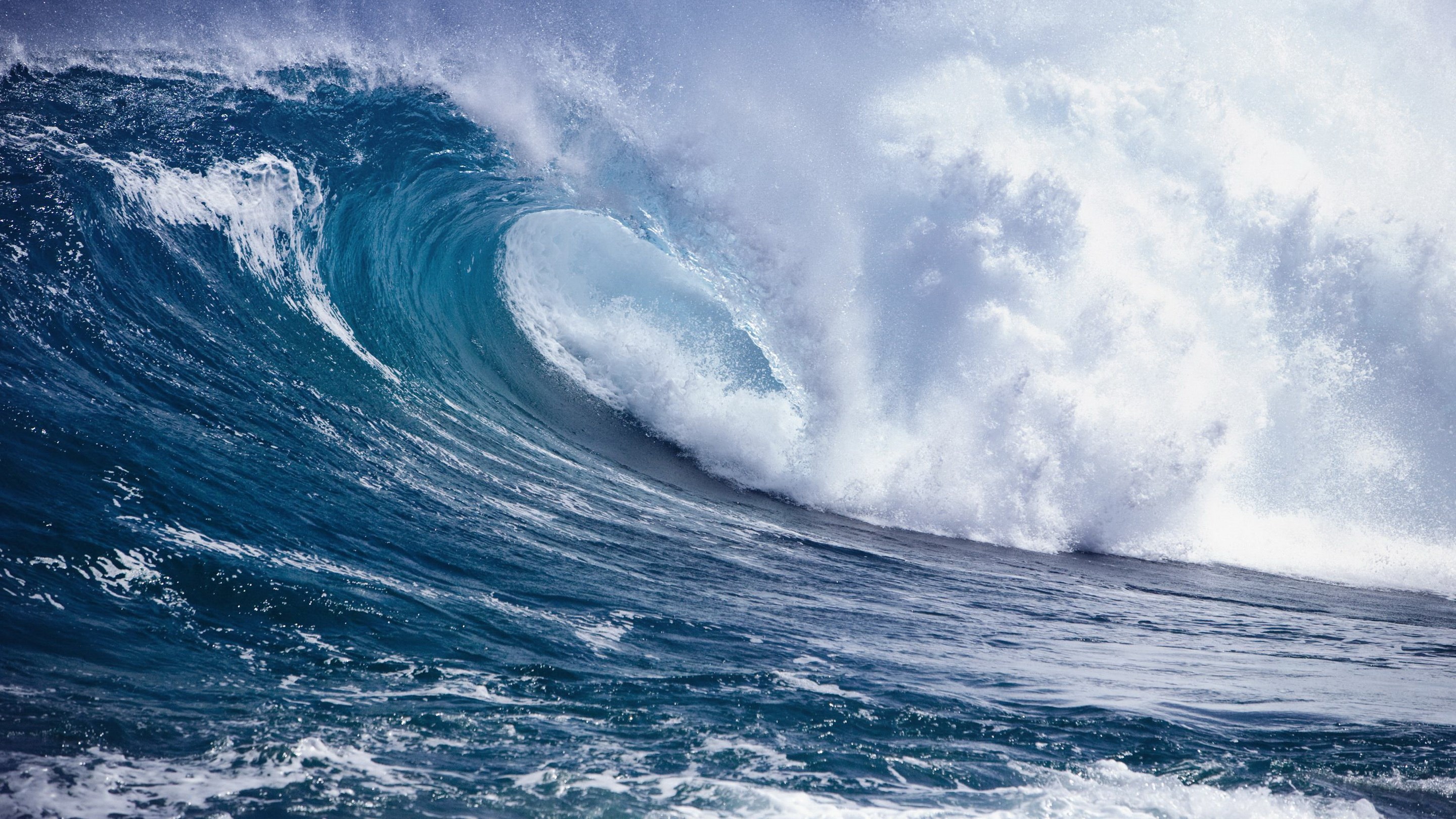 A large ocean wave crests and breaks HD Wallpaper