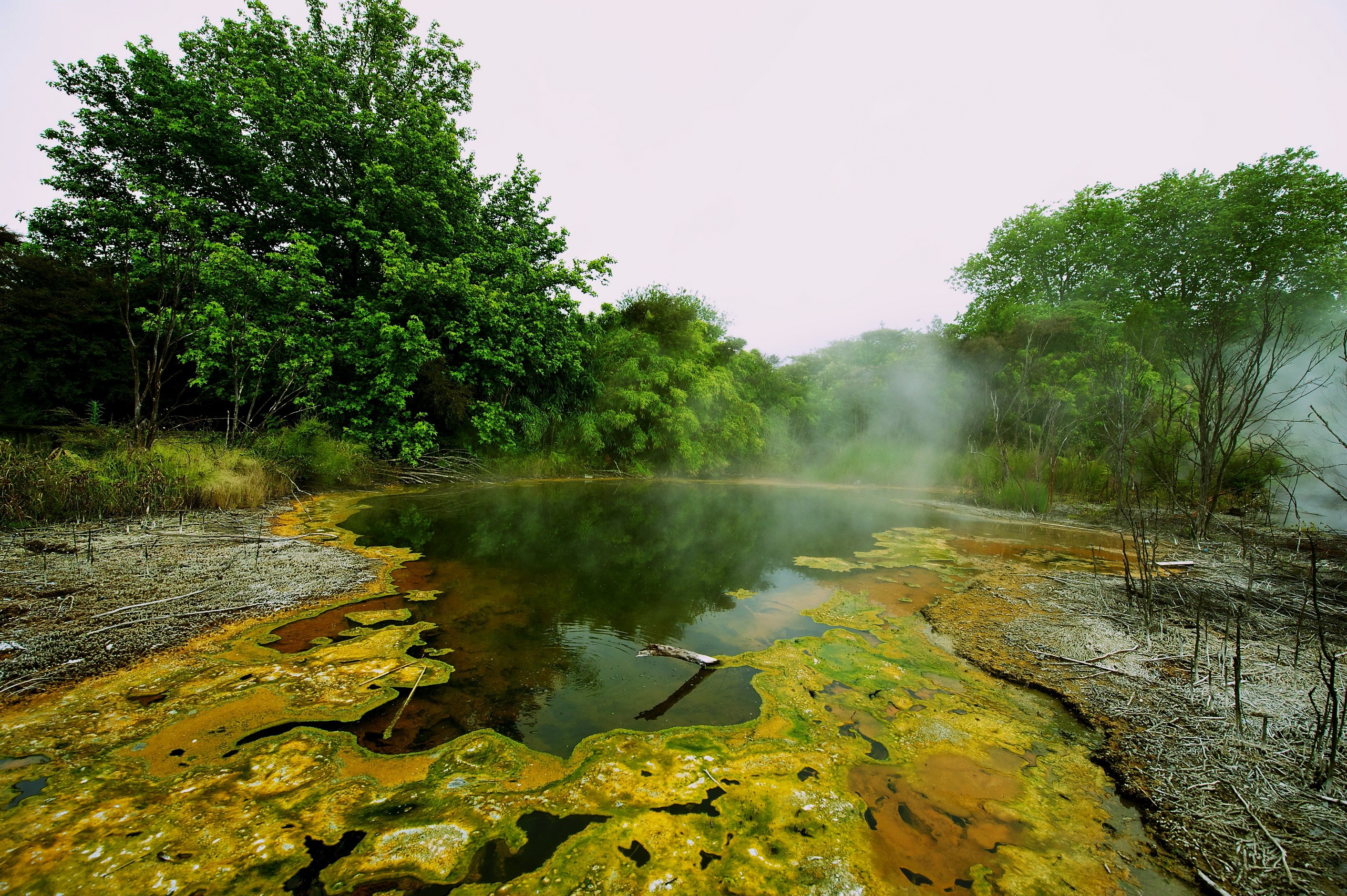 Steaming Geothermal Pool Surrounded by Lush Greenery HD Wallpaper