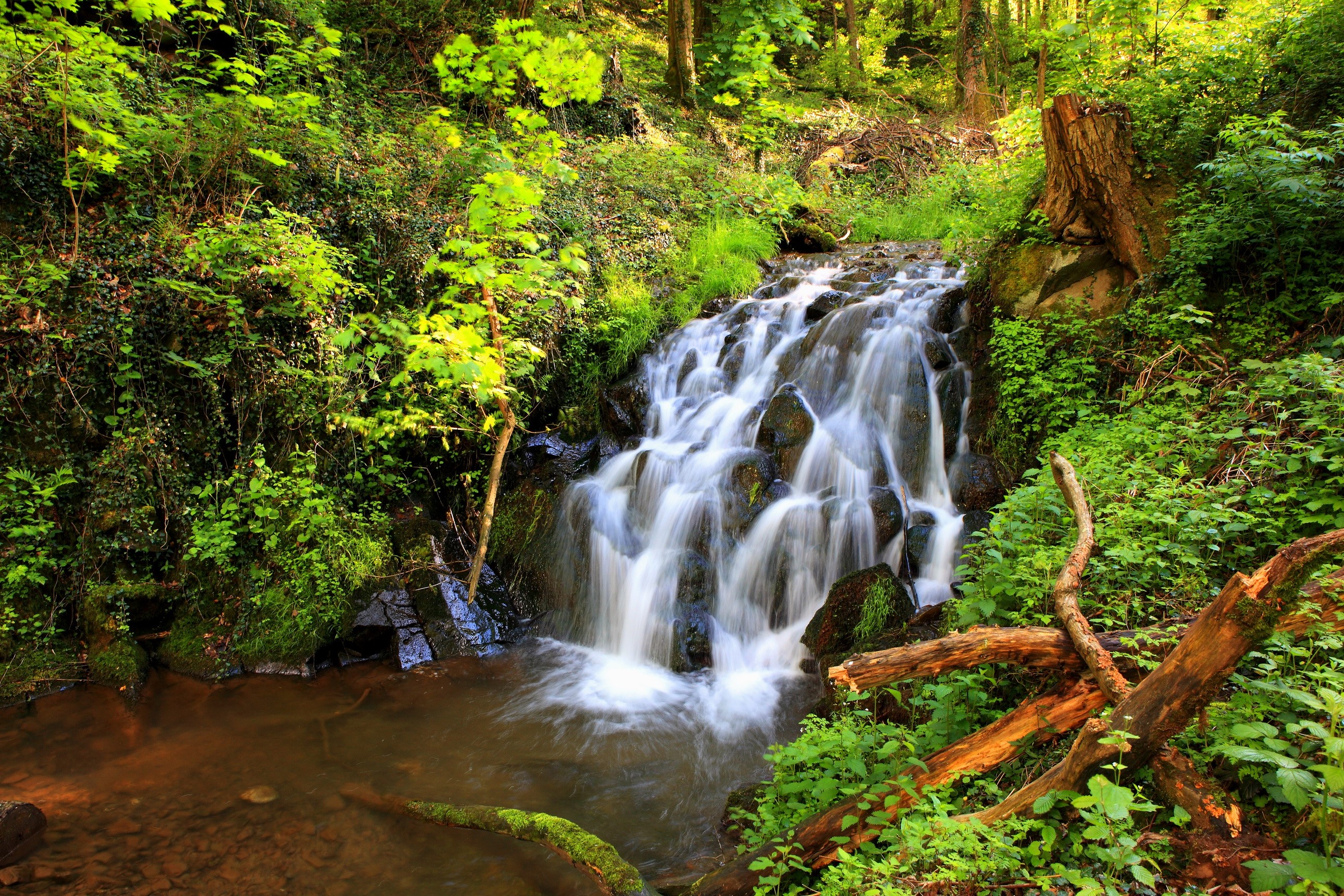 Waterfall flowing through a lush green forest HD Wallpaper