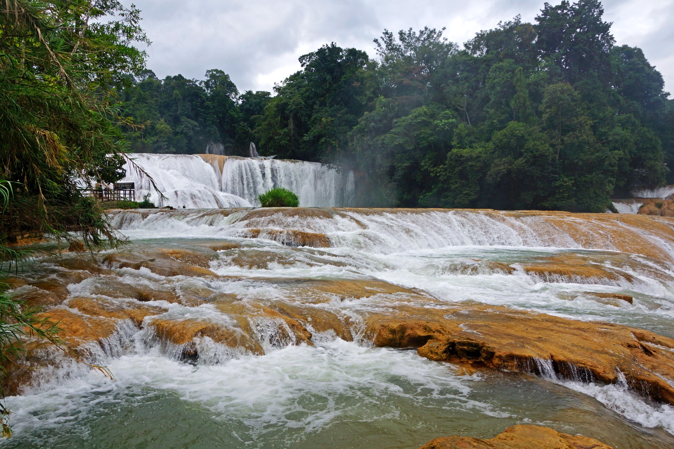 Cascading waterfalls in a lush forest HD Wallpaper