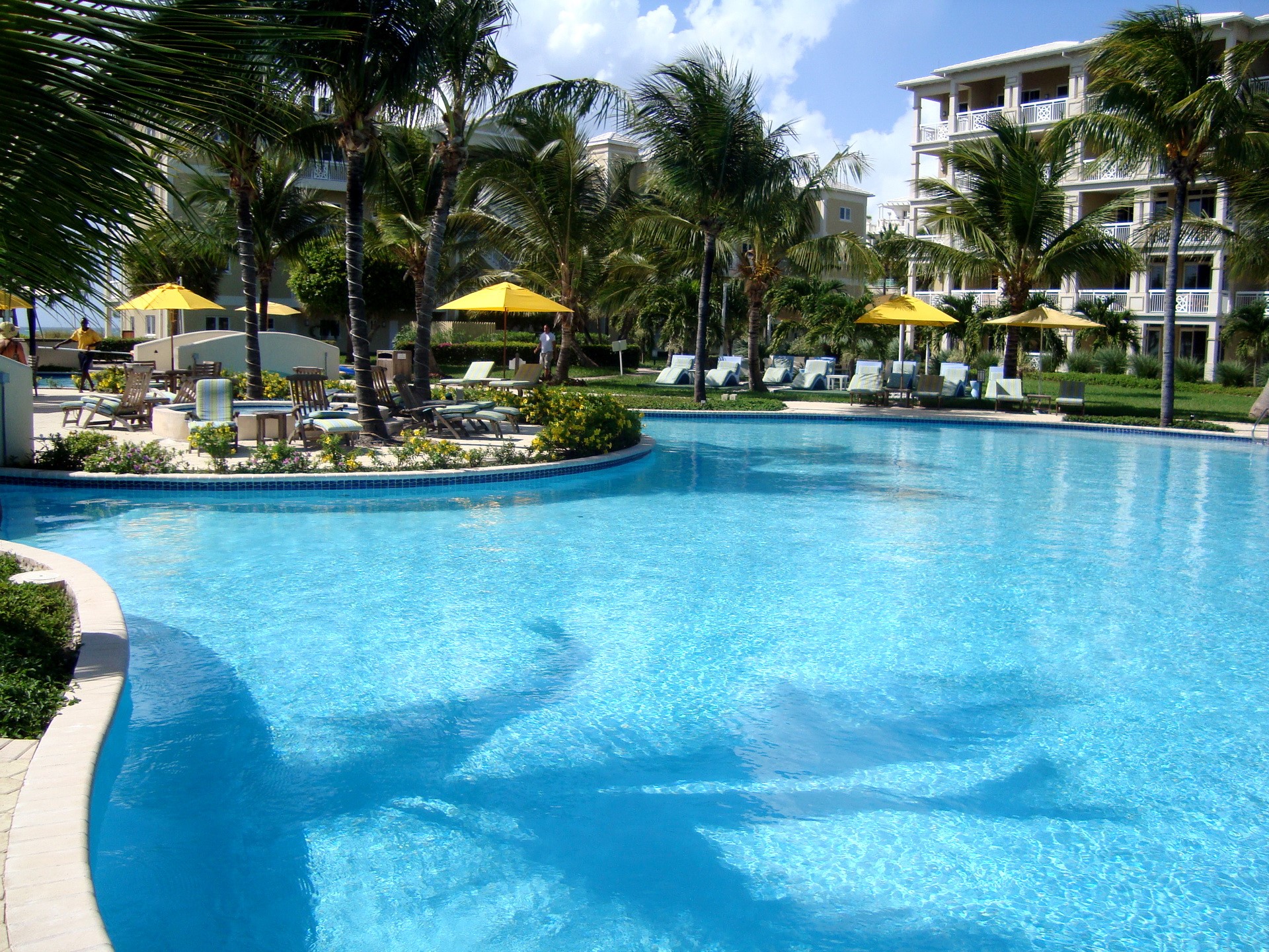 Resort pool with palm trees and buildings HD Wallpaper