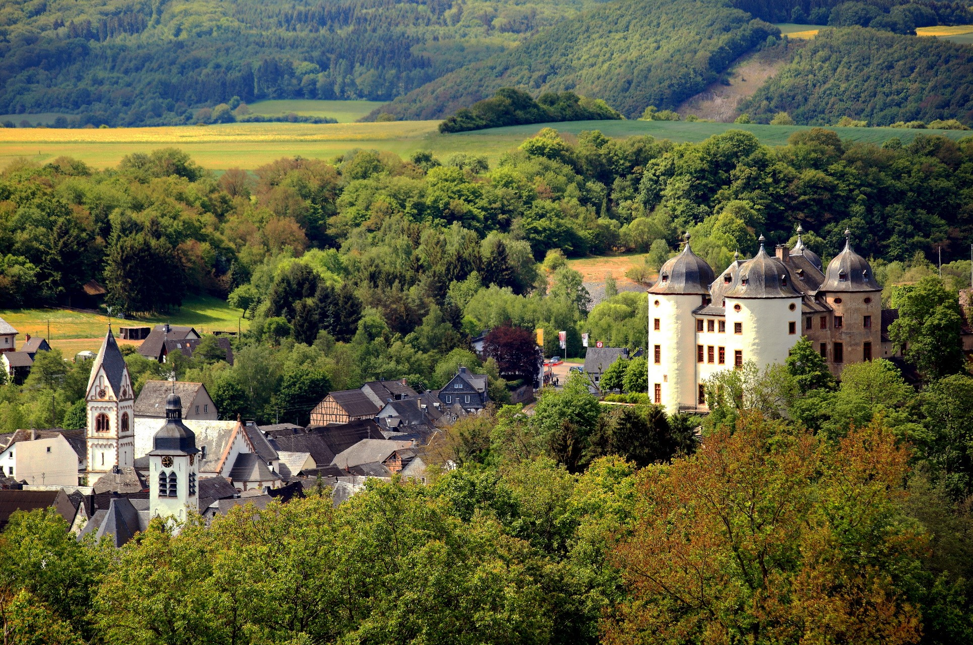 Castle and church in a German village surrounded by trees HD Wallpaper