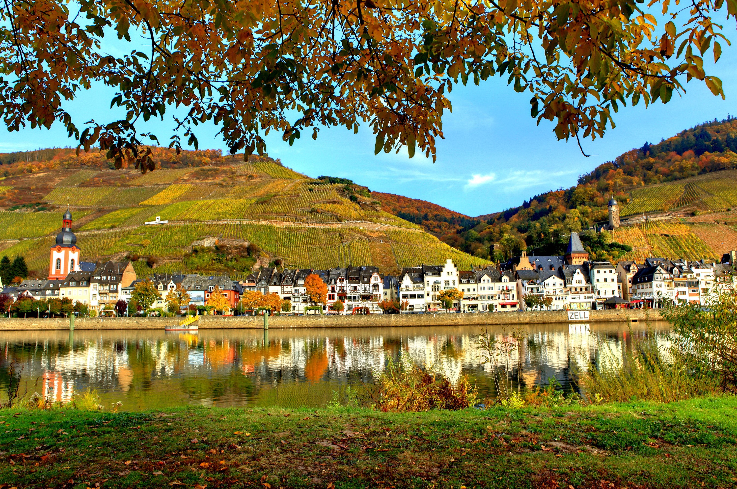 River town with vineyards in autumn, Germany HD Wallpaper