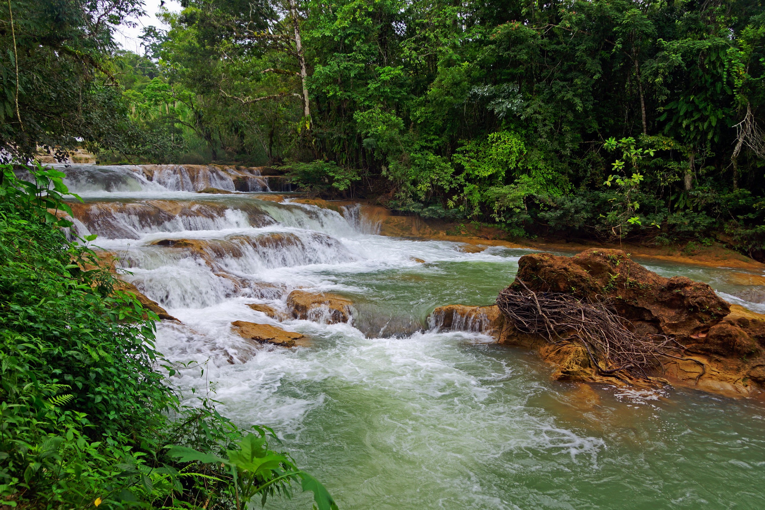 Cascading waterfalls in a lush green jungle HD Wallpaper