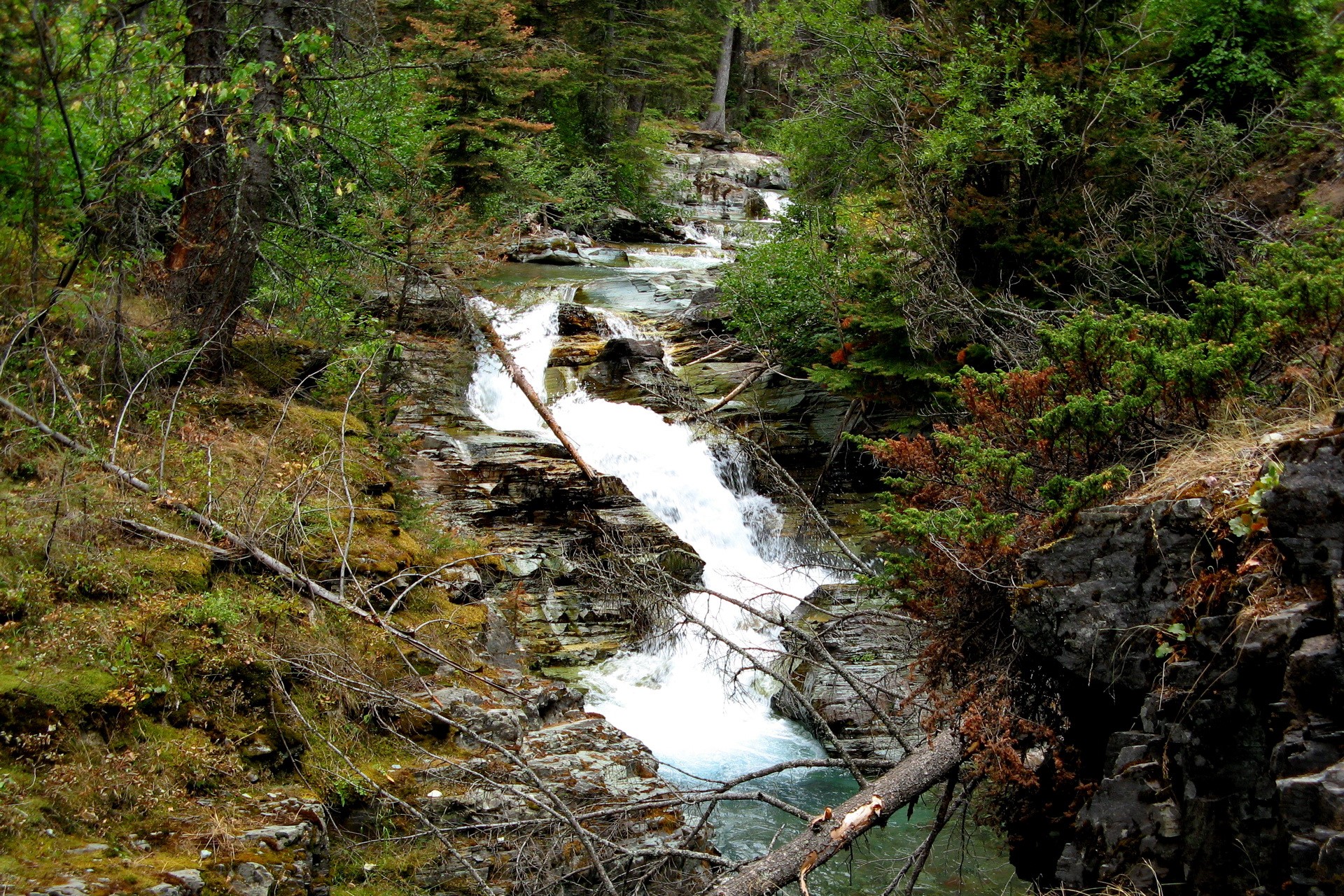 Waterfall in a forest in Glacier National Park HD Wallpaper