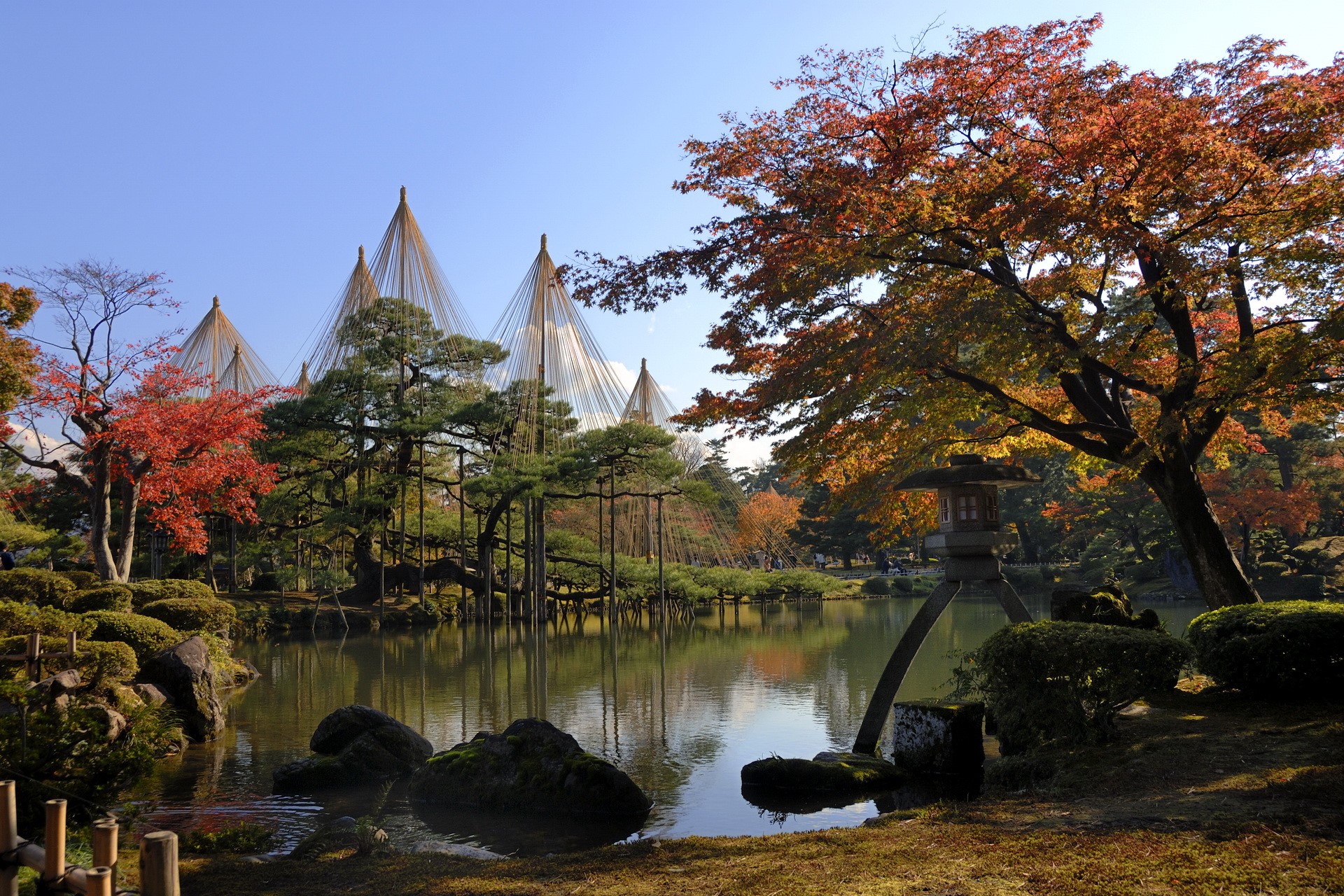 Japanese garden with pond and autumn foliage HD Wallpaper