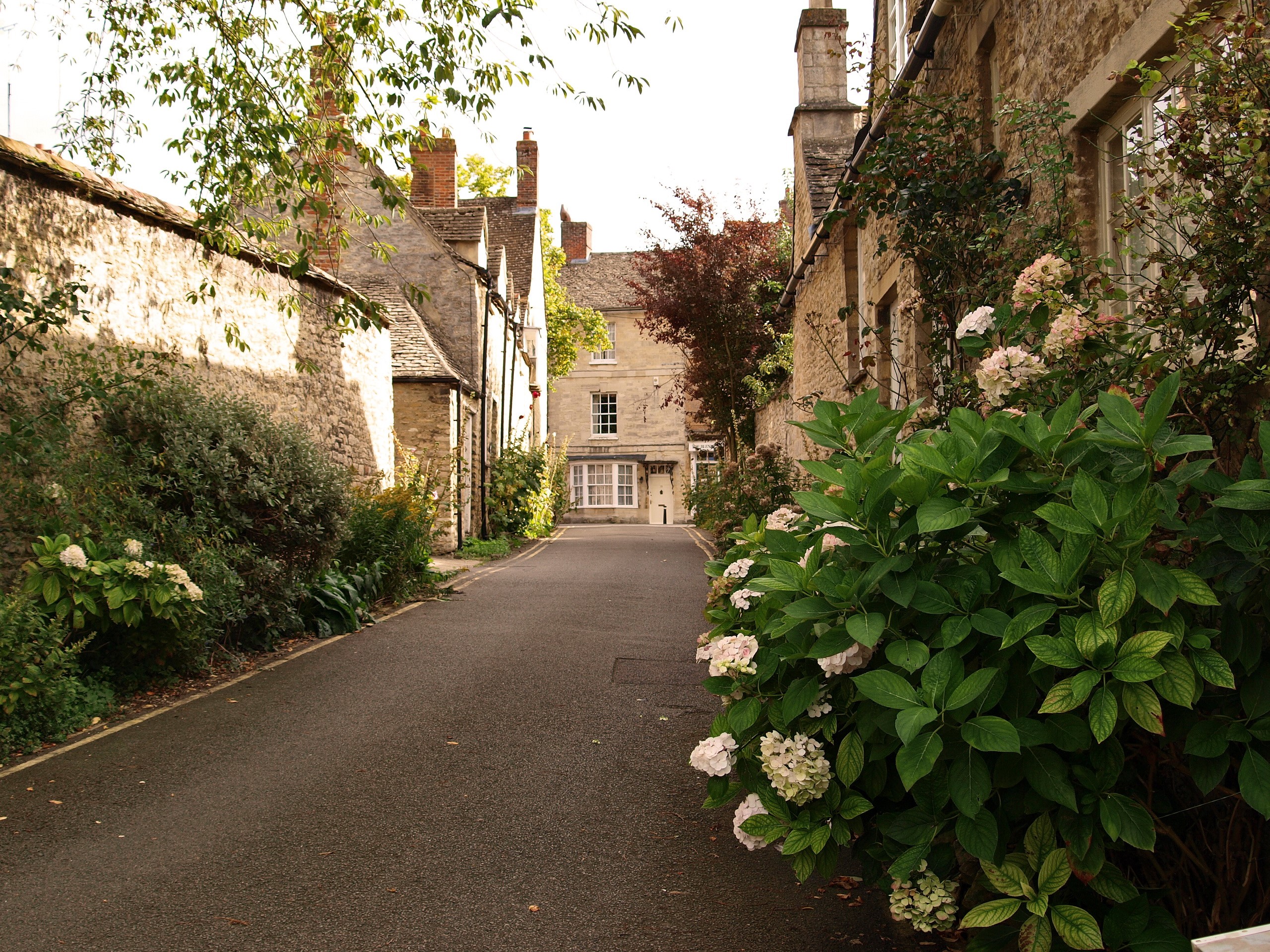 Cobblestone street with stone houses and hydrangeas in the United Kingdom HD Wallpaper