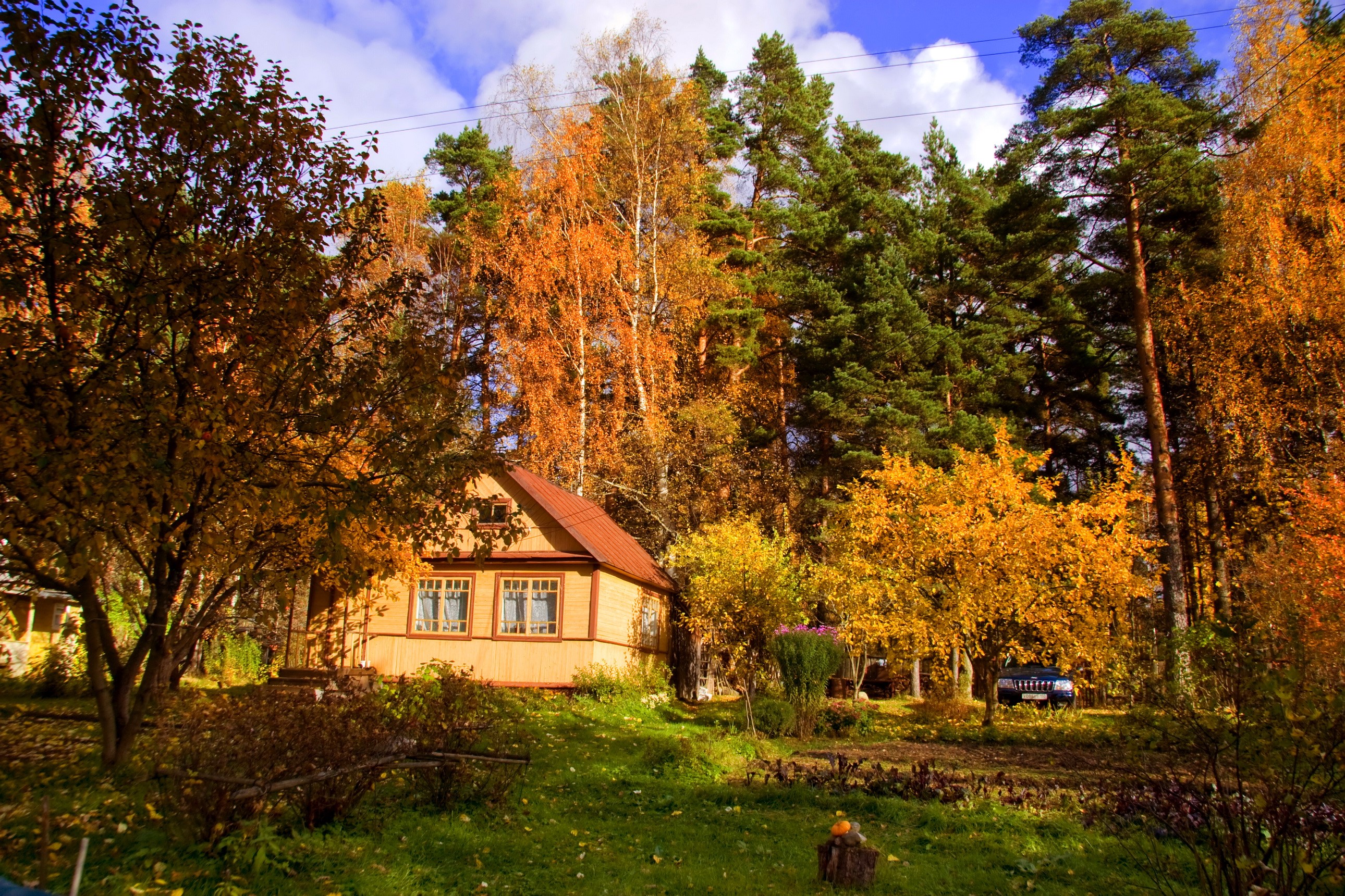 Wooden house in autumn forest, Russia HD Wallpaper