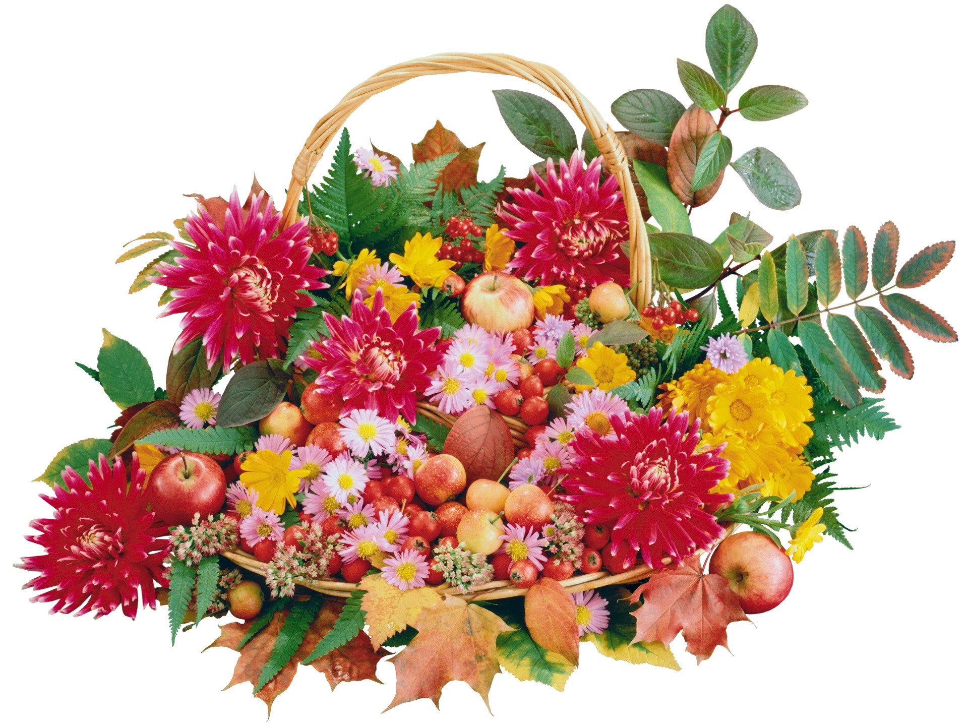 Autumn harvest basket with flowers and apples HD Wallpaper