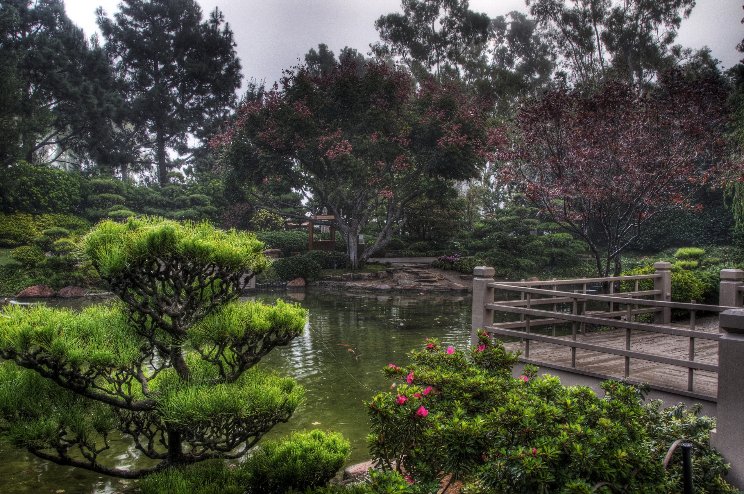 Earl Burns Miller Japanese Garden in California HD Wallpaper