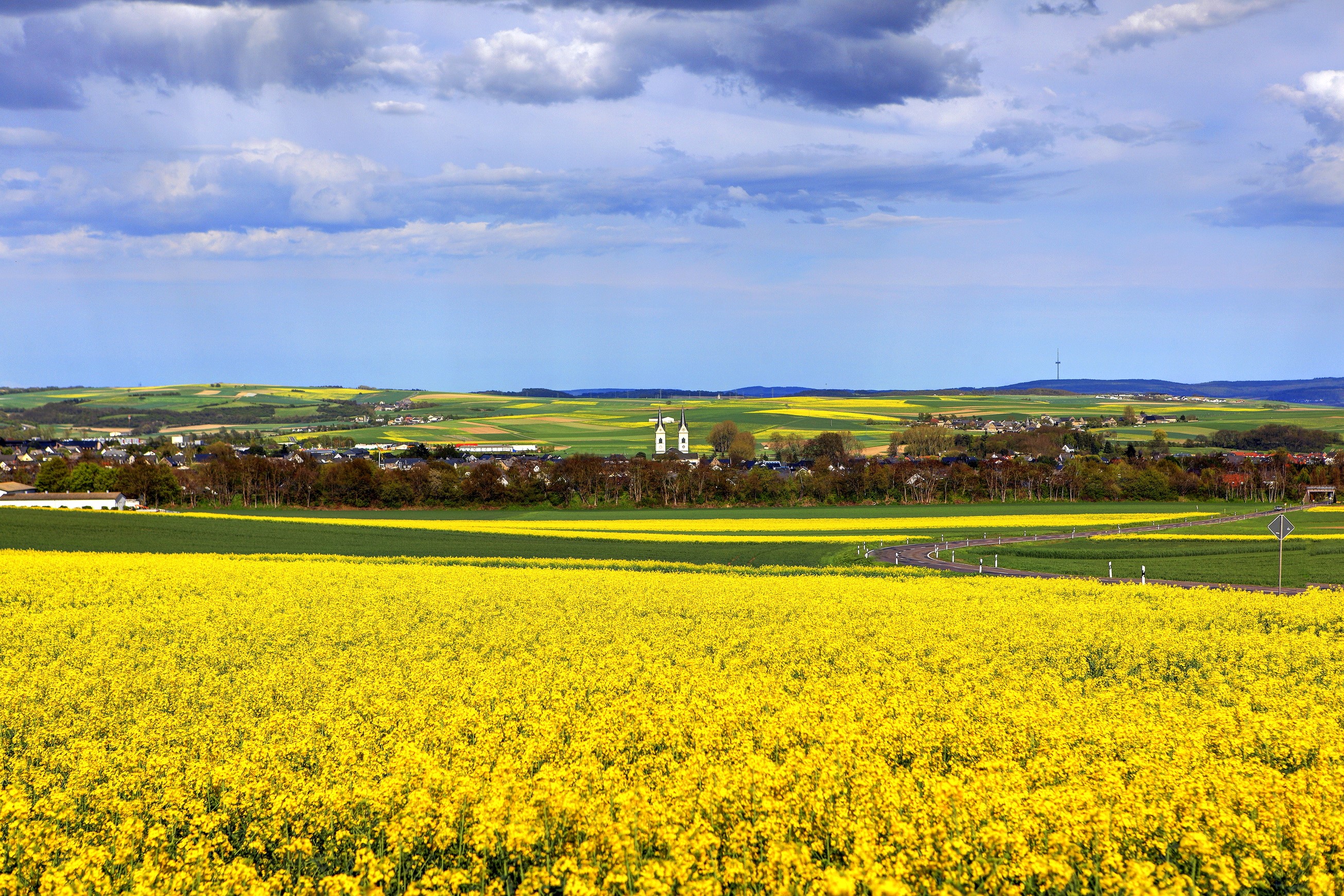 Yellow rapeseed fields and a village under a cloudy sky HD Wallpaper