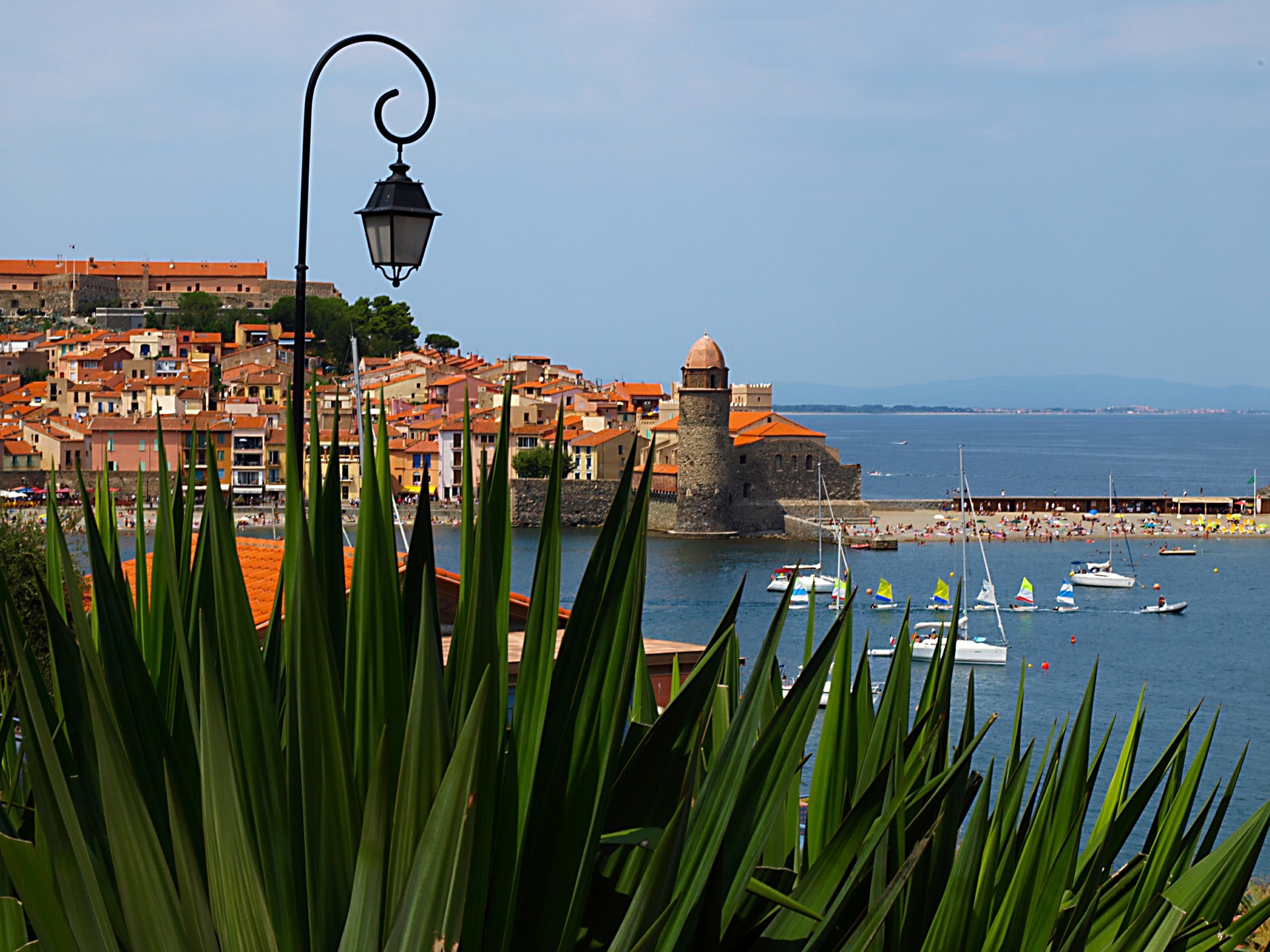 Collioure, France with boats and buildings HD Wallpaper