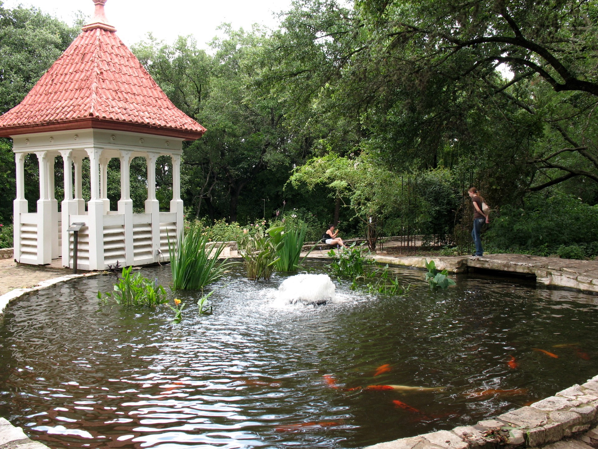 Gazebo and pond with koi fish in a garden HD Wallpaper