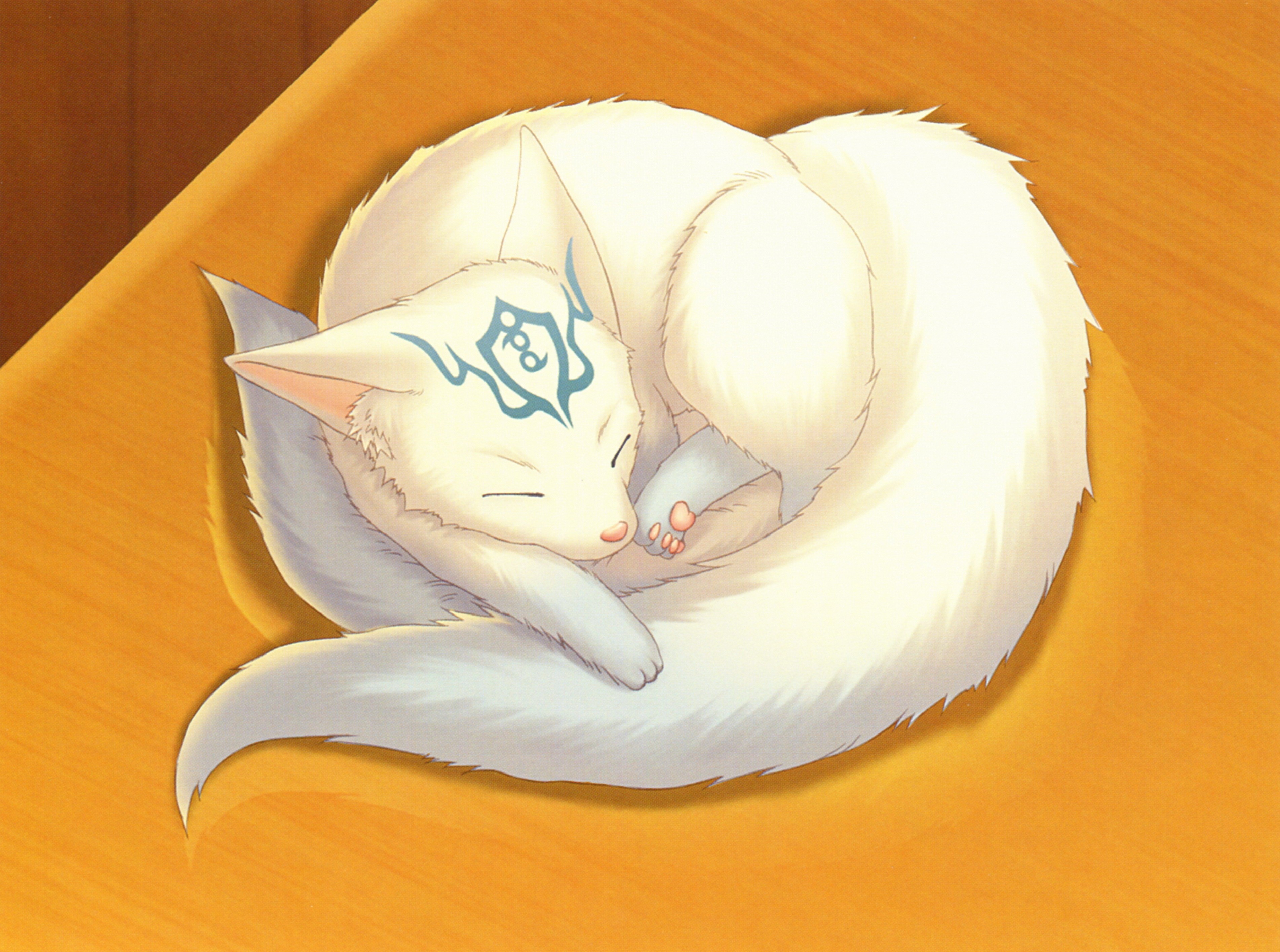Tamaki Kuszunagi from Hiiro no Kakera HD Wallpaper