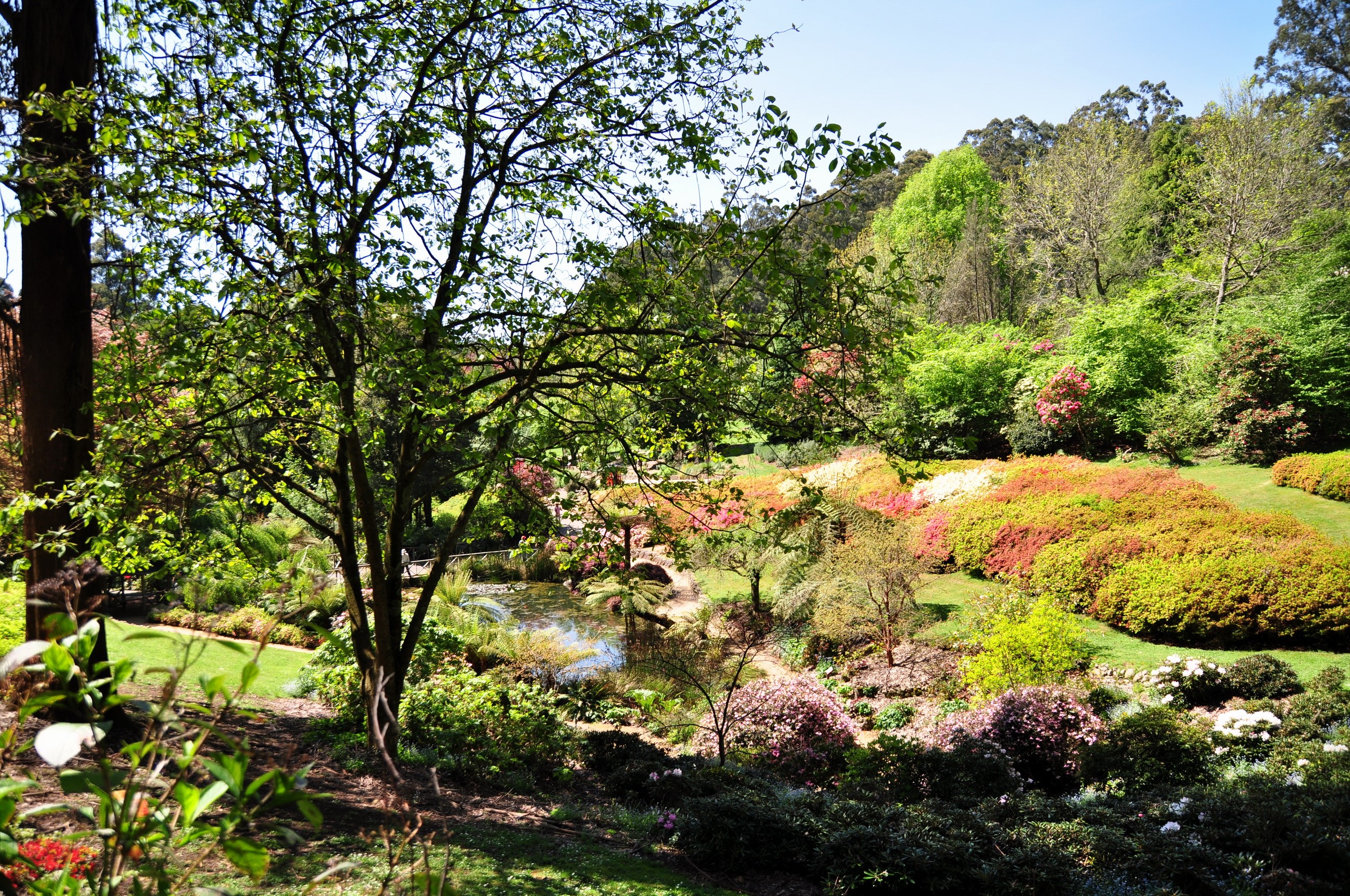 Beautiful garden with colorful flowers and trees HD Wallpaper