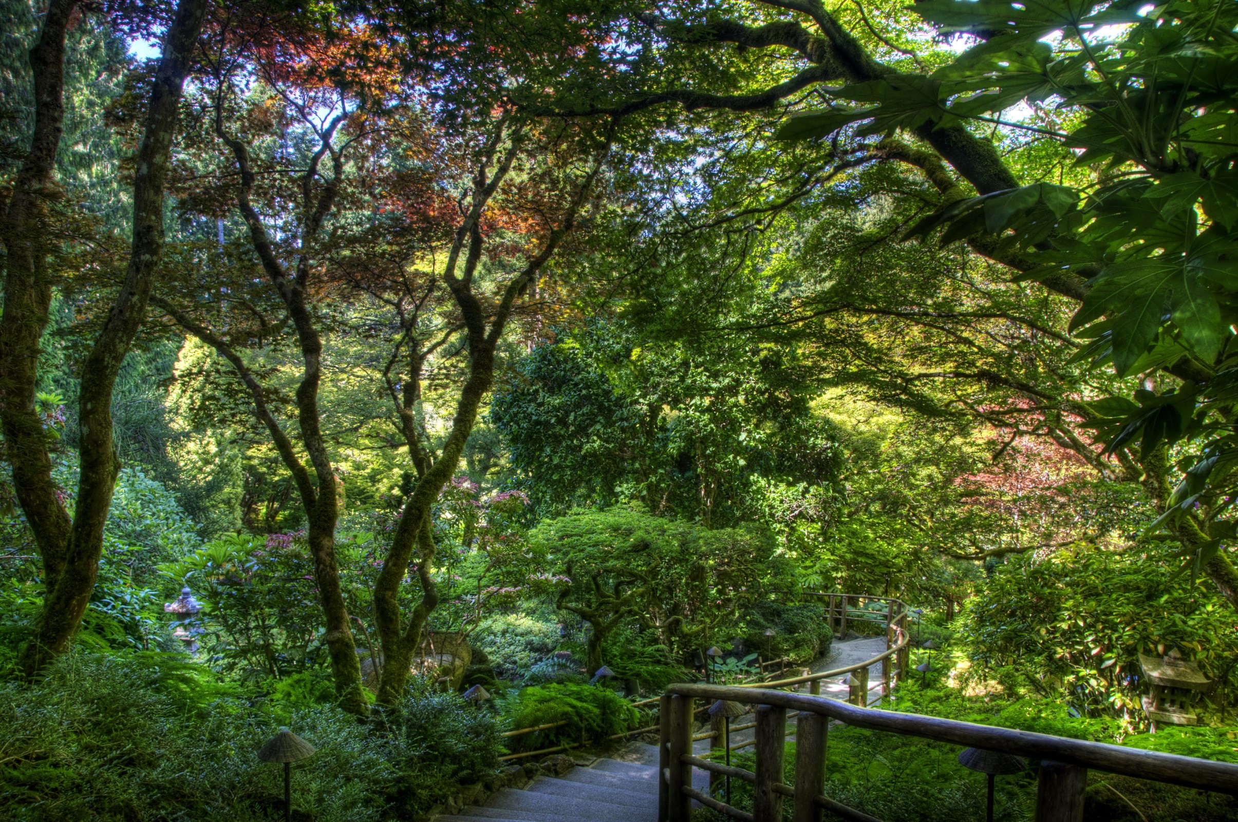 A winding path through a lush Japanese garden HD Wallpaper
