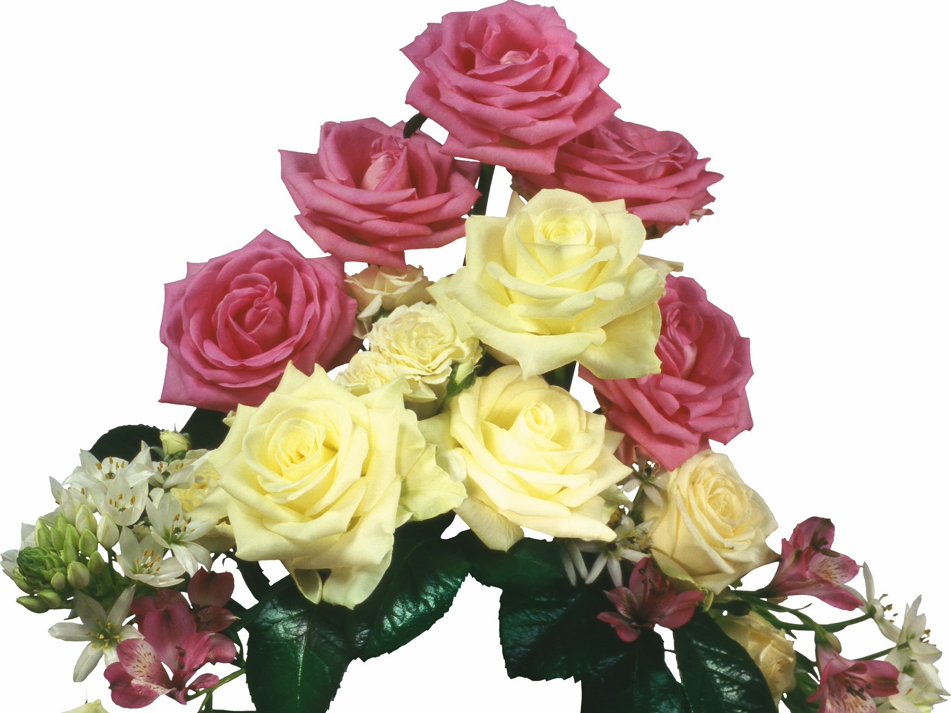 Bouquet of pink and yellow roses with small white and pink flowers HD Wallpaper