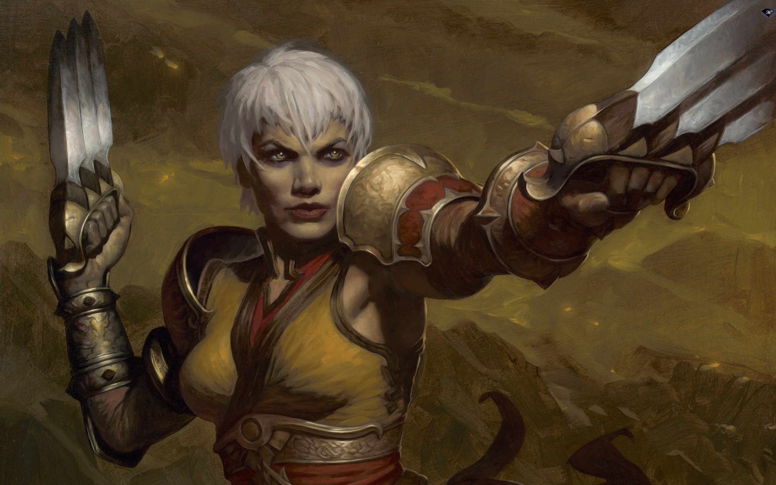 Diablo III: Monk with dual blades HD Wallpaper