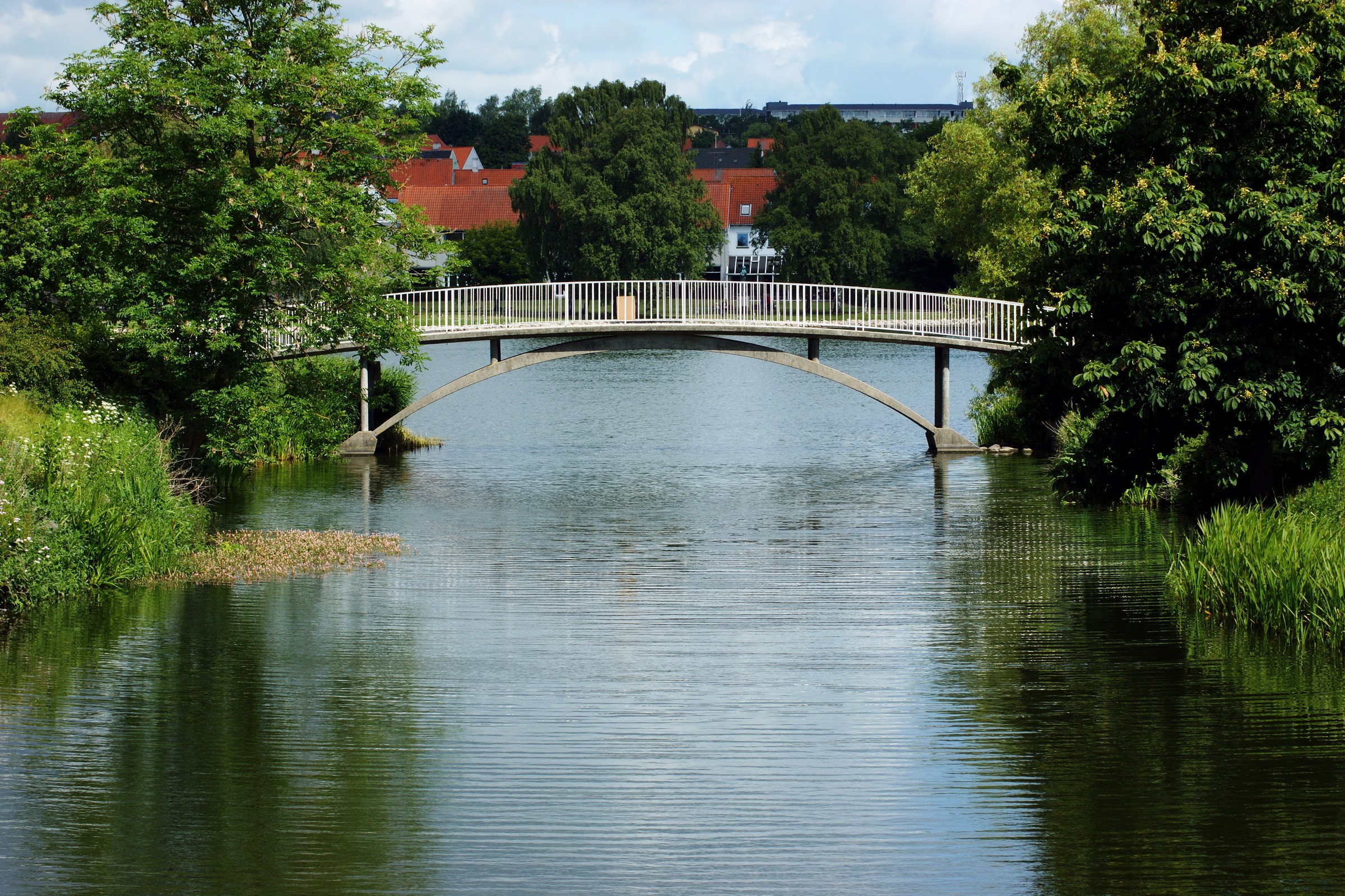 Arch bridge over a river with trees and houses HD Wallpaper