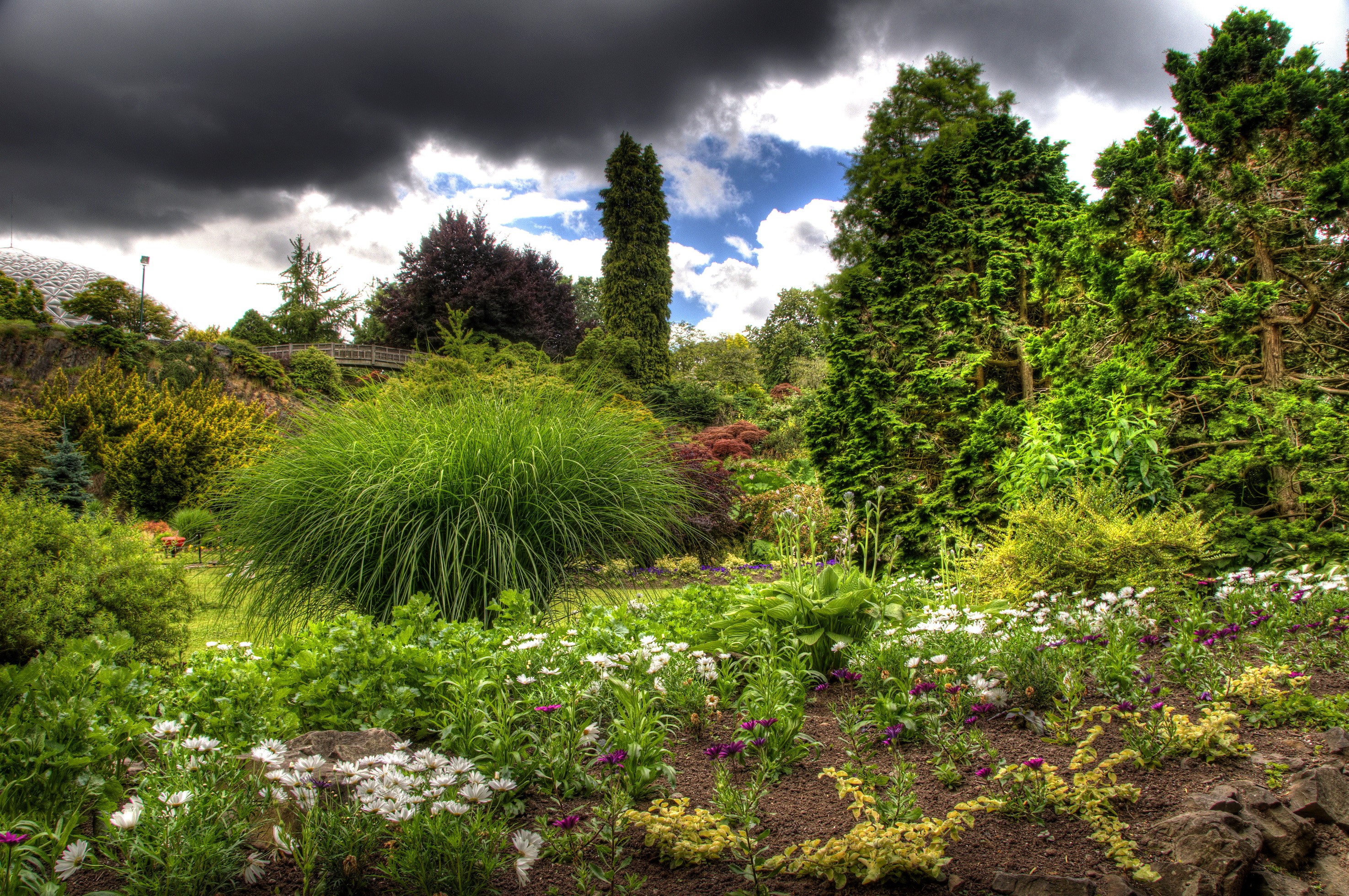 A beautiful garden with diverse plants and flowers under a cloudy sky HD Wallpaper