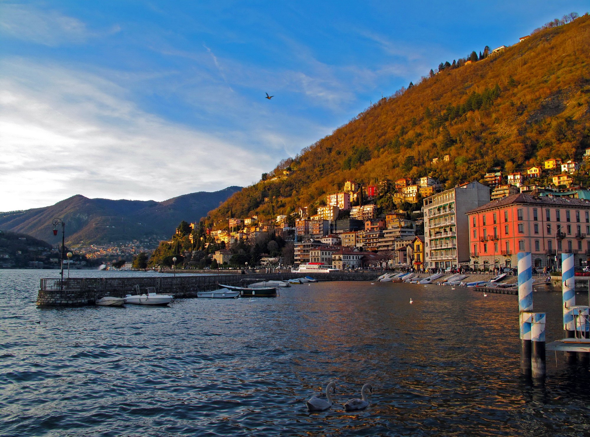 Lake Como waterfront with colorful buildings on a hillside in Italy HD Wallpaper