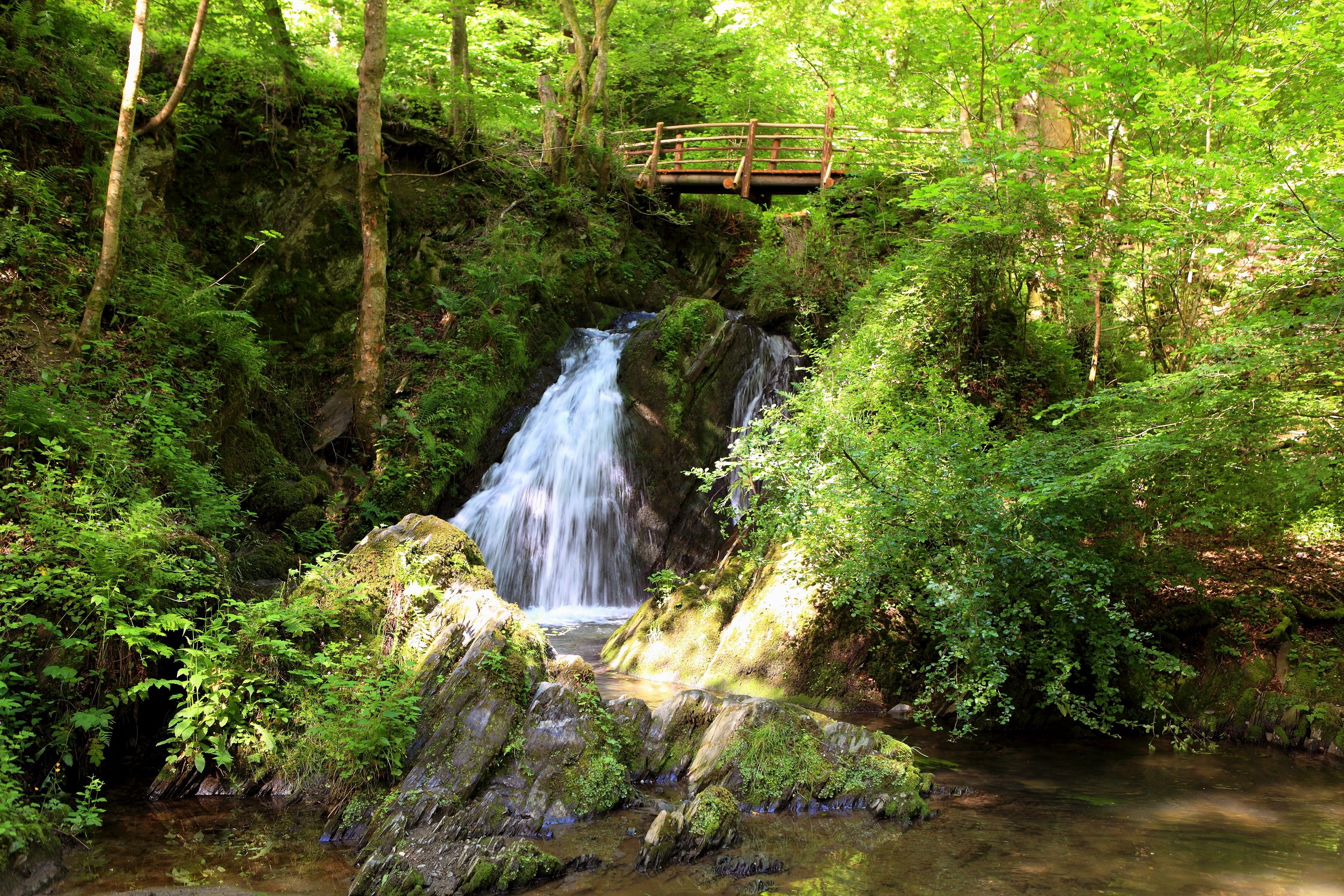 Waterfall in a lush green forest with a wooden bridge HD Wallpaper