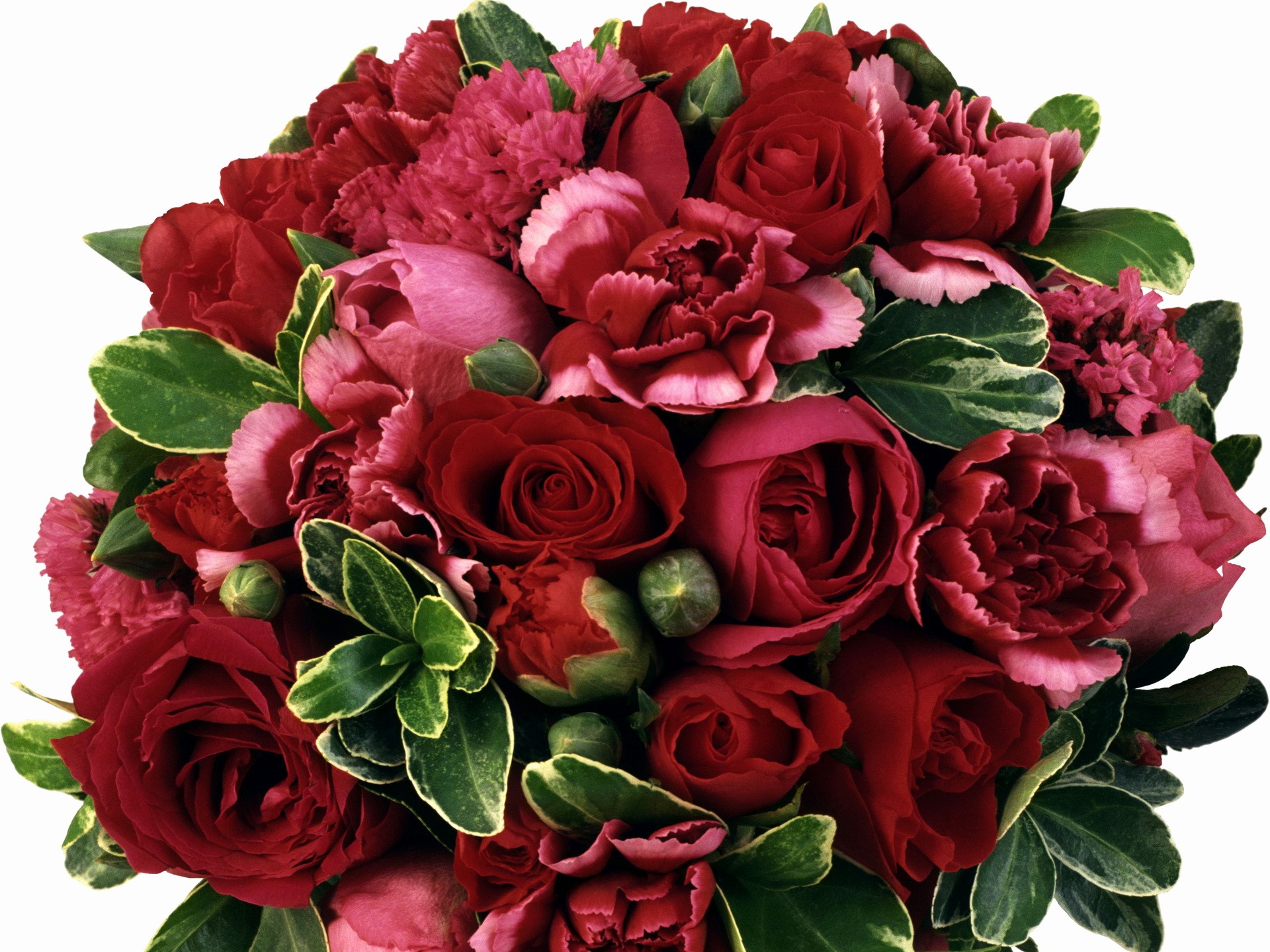 Red and pink roses and carnations bouquet HD Wallpaper