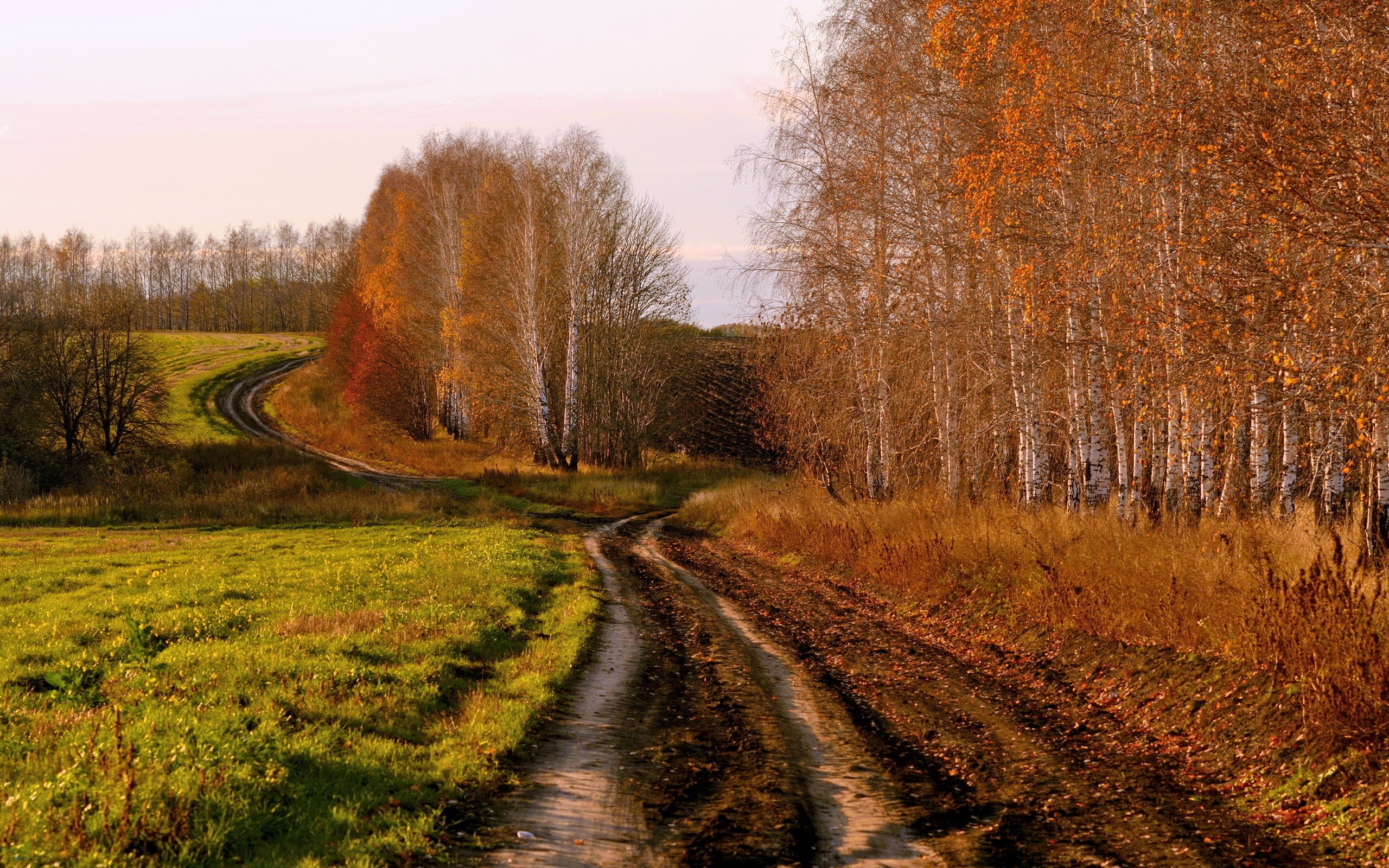 Dirt road winding through autumn forest and field HD Wallpaper