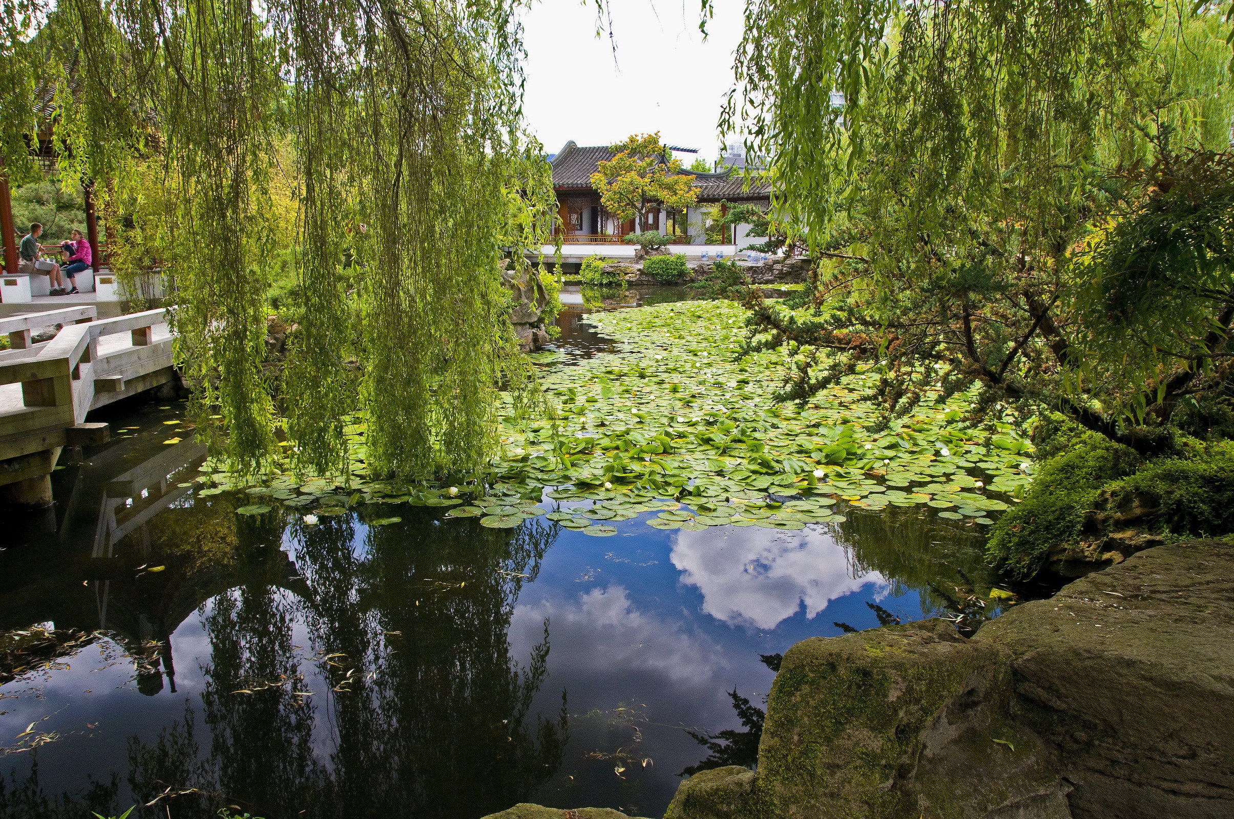Chinese Garden with Pond and Willow Trees HD Wallpaper