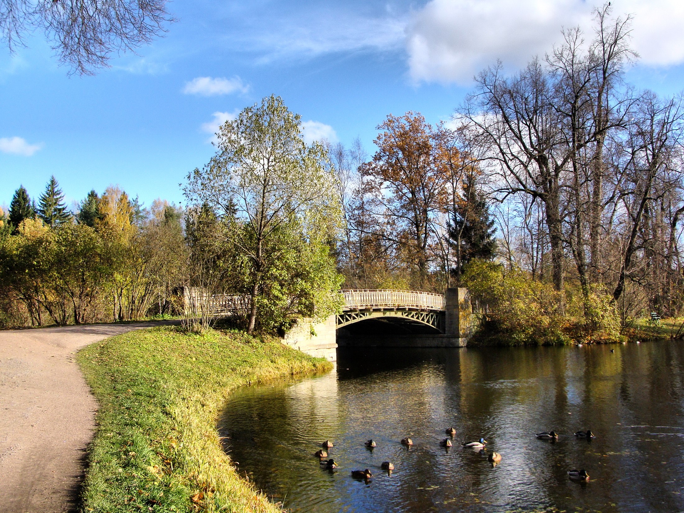 Bridge over a lake with ducks in autumn HD Wallpaper