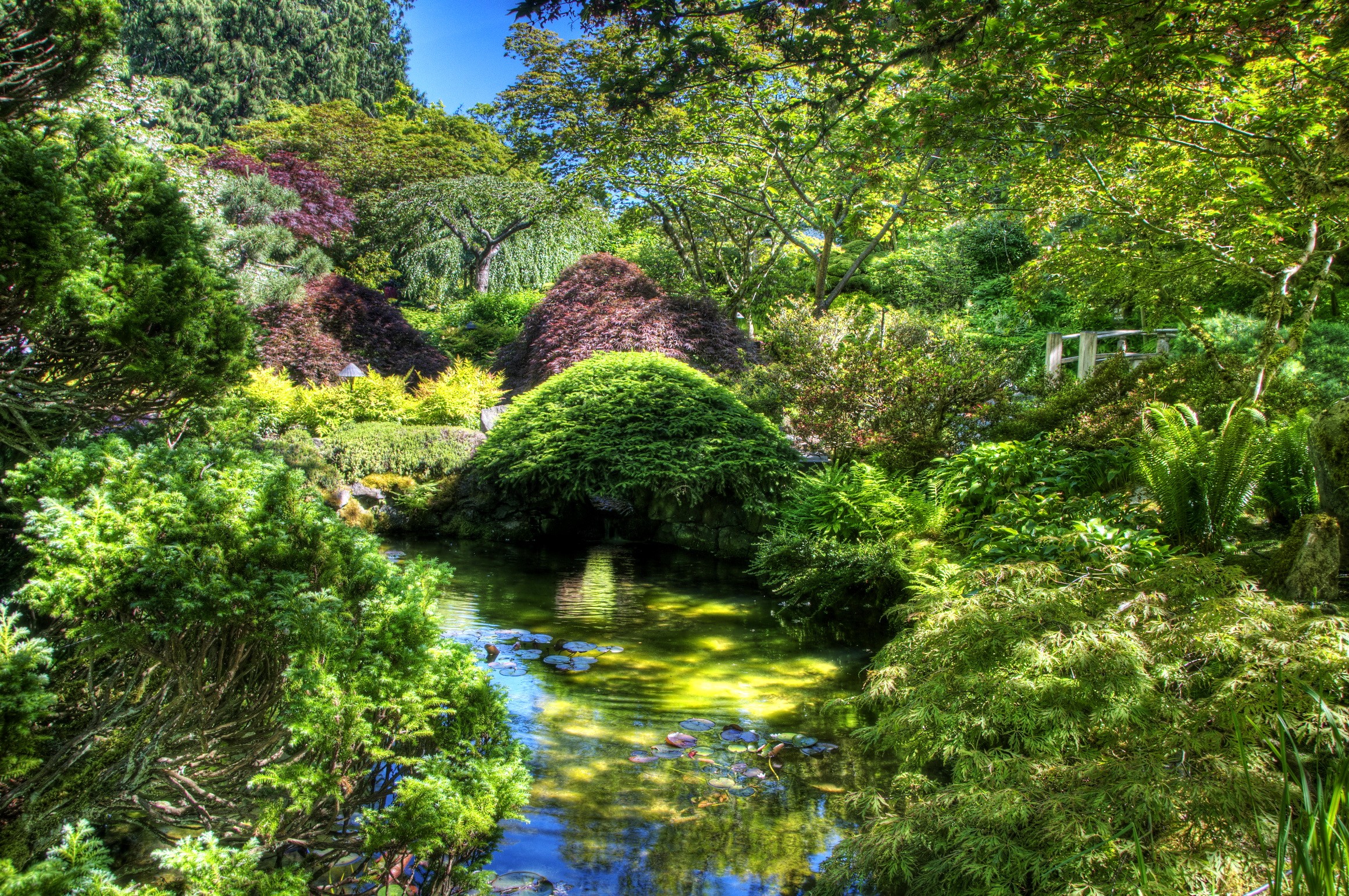 Japanese Garden with Pond and Lush Greenery HD Wallpaper