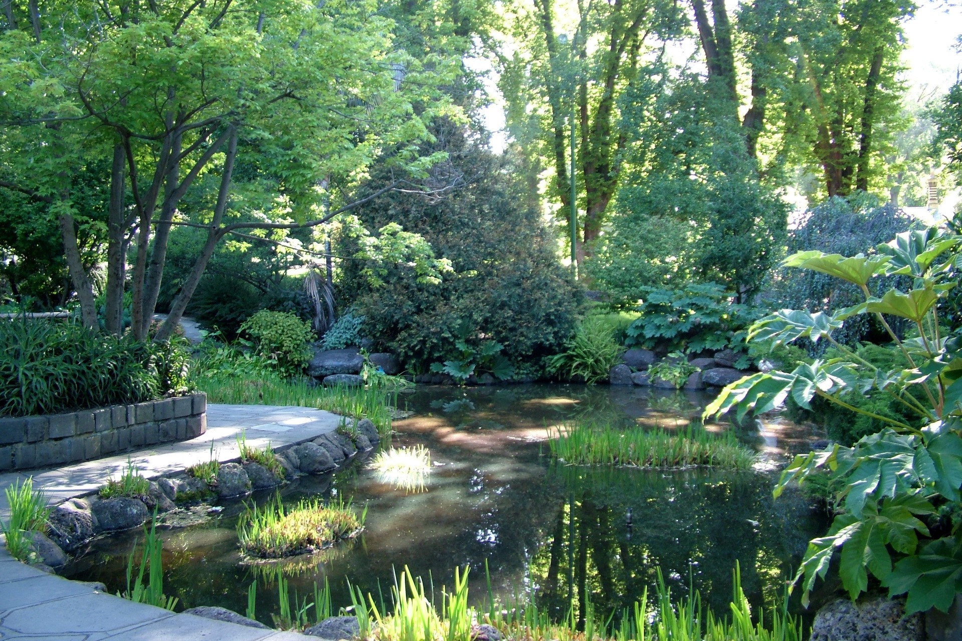 Fitzroy Gardens pond with trees and path HD Wallpaper
