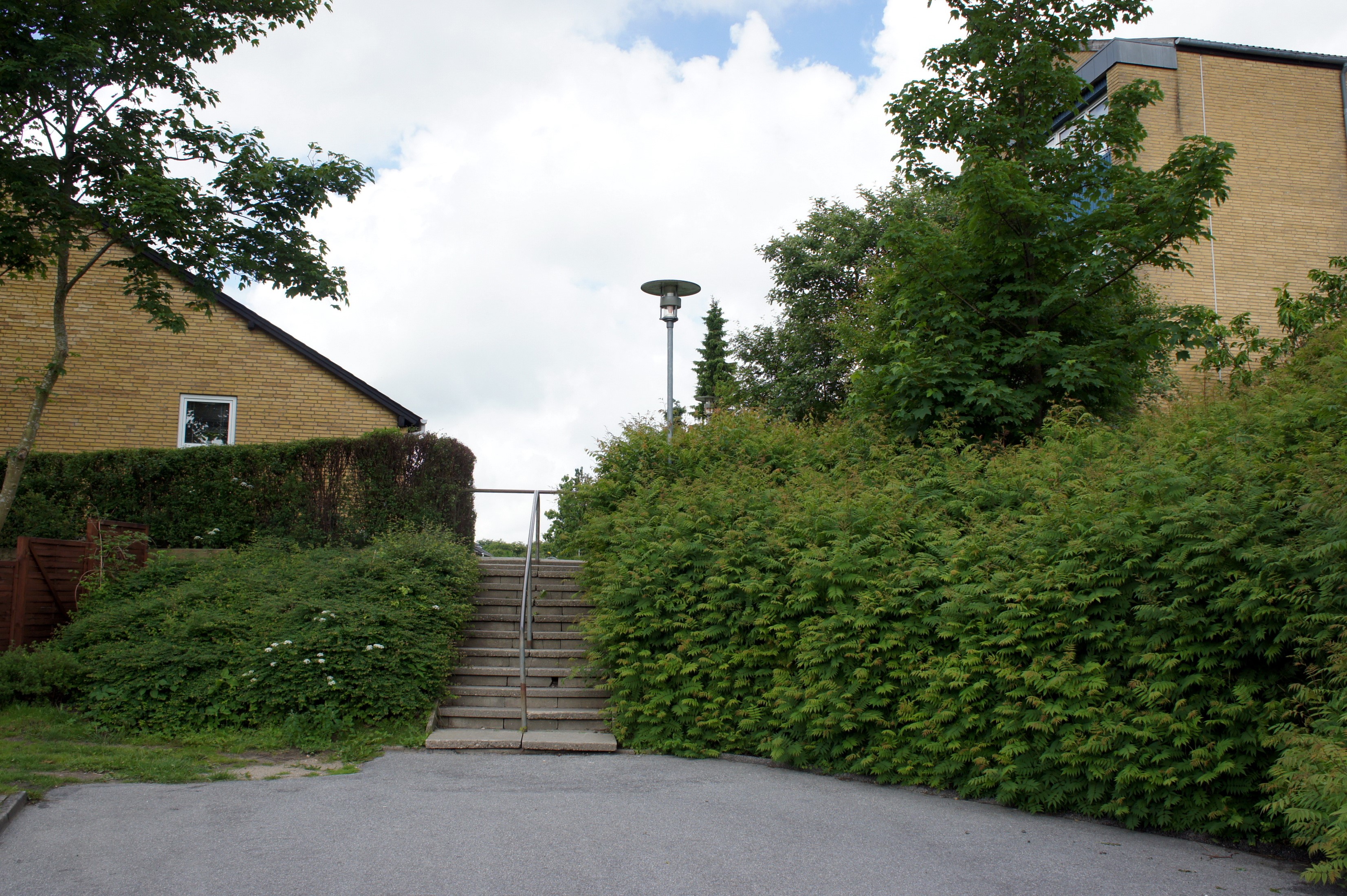 Outdoor stairs with hedges and buildings HD Wallpaper