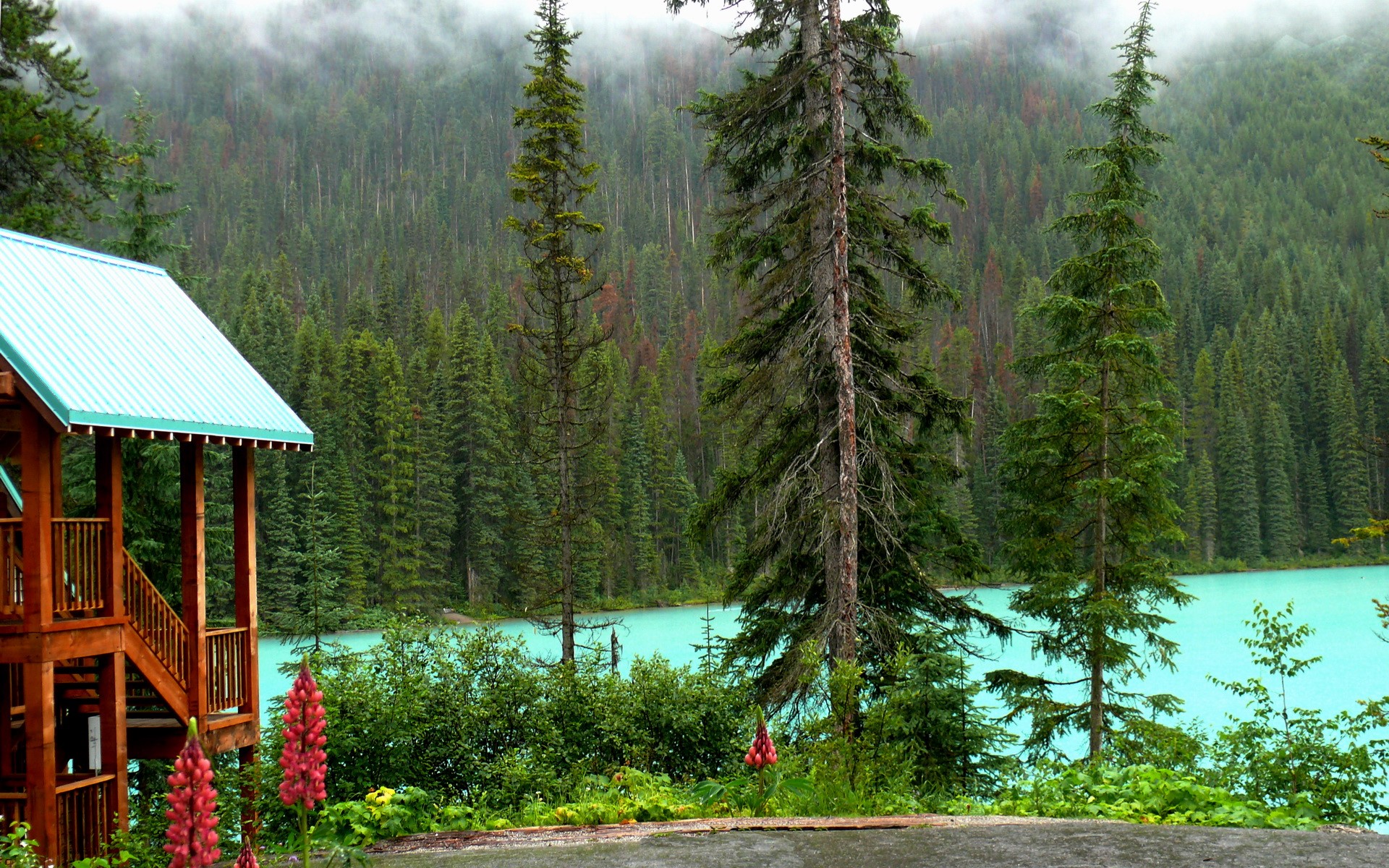 Wooden cabin by a turquoise lake and forest HD Wallpaper