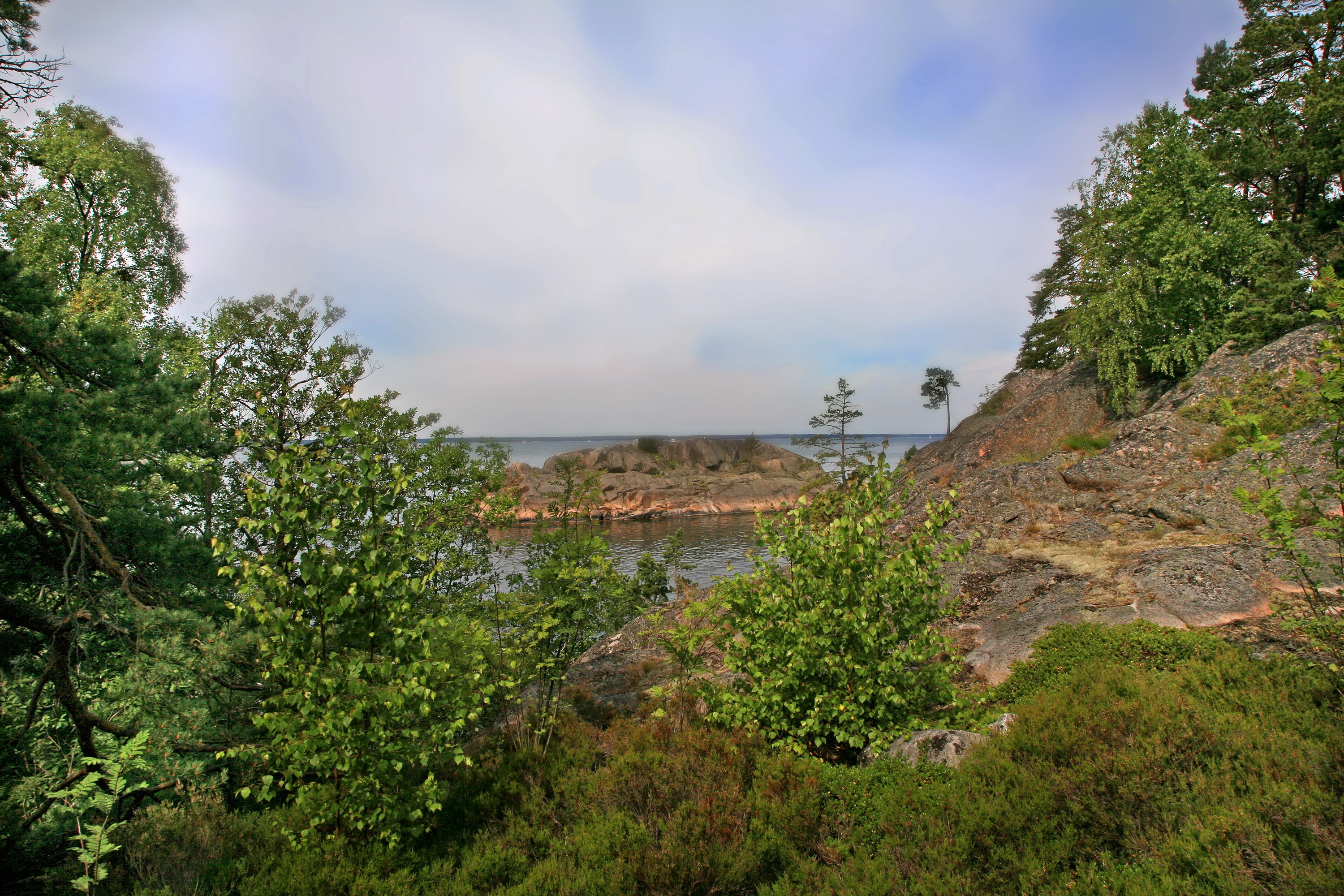 Rocky island with trees and water HD Wallpaper
